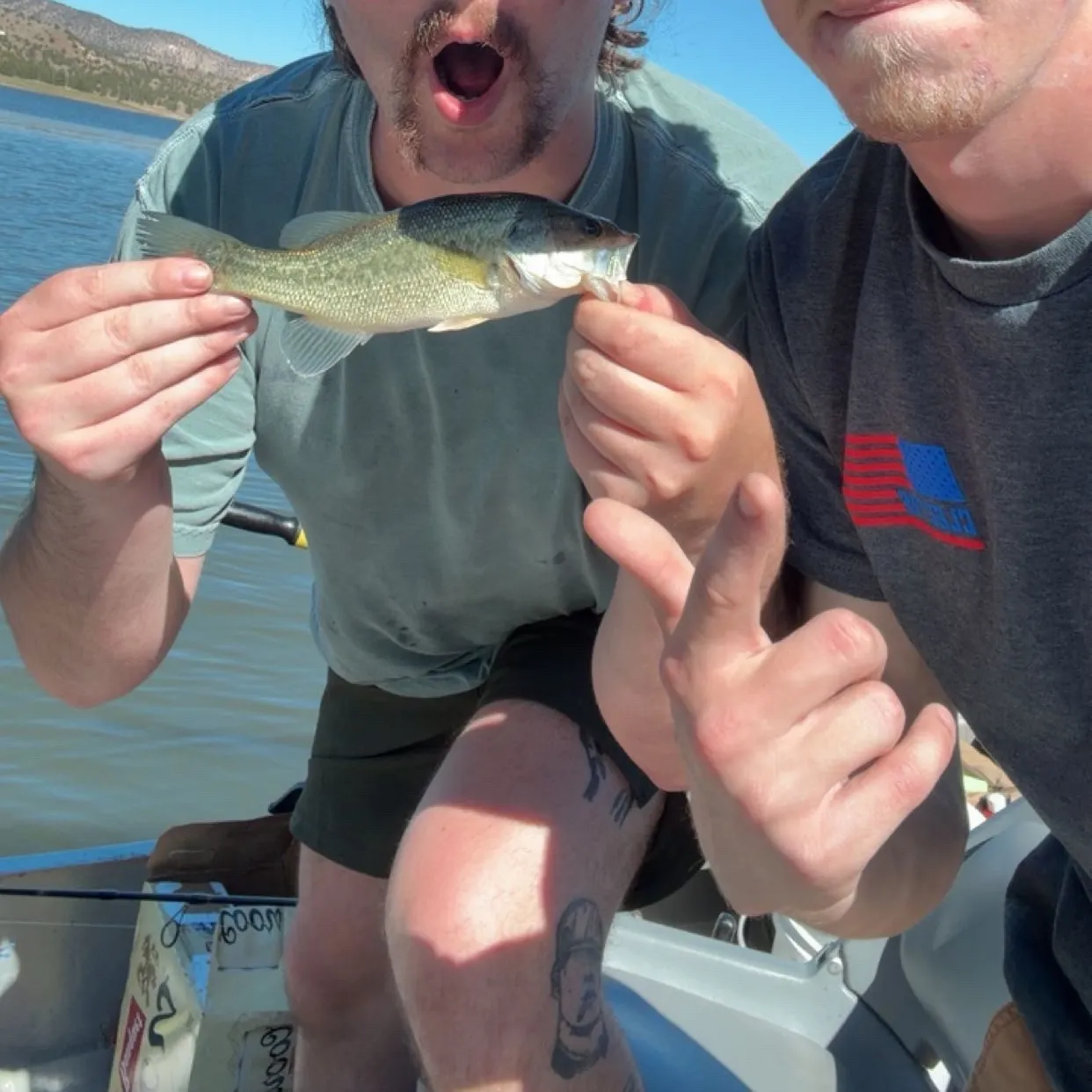 Smallmouth bass caught on Fishbrain