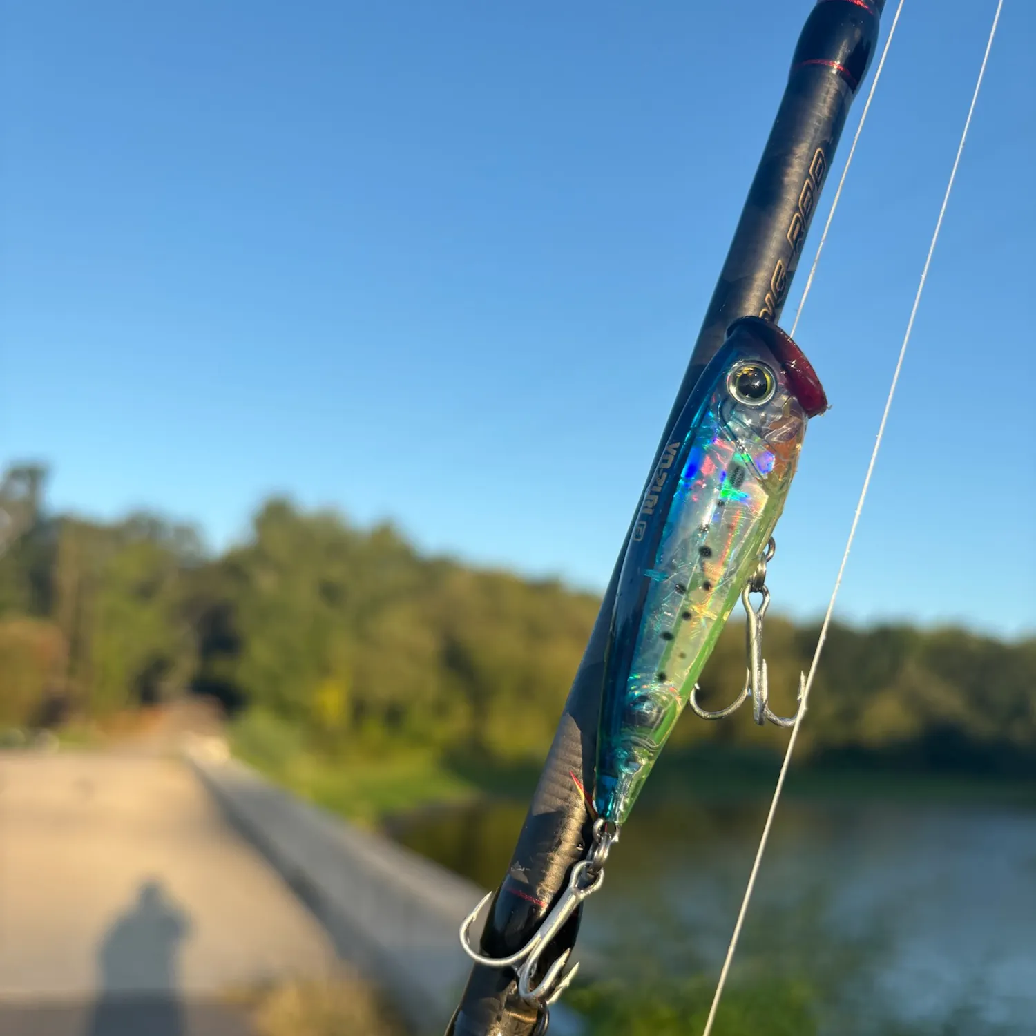 Fish caught on Fishbrain