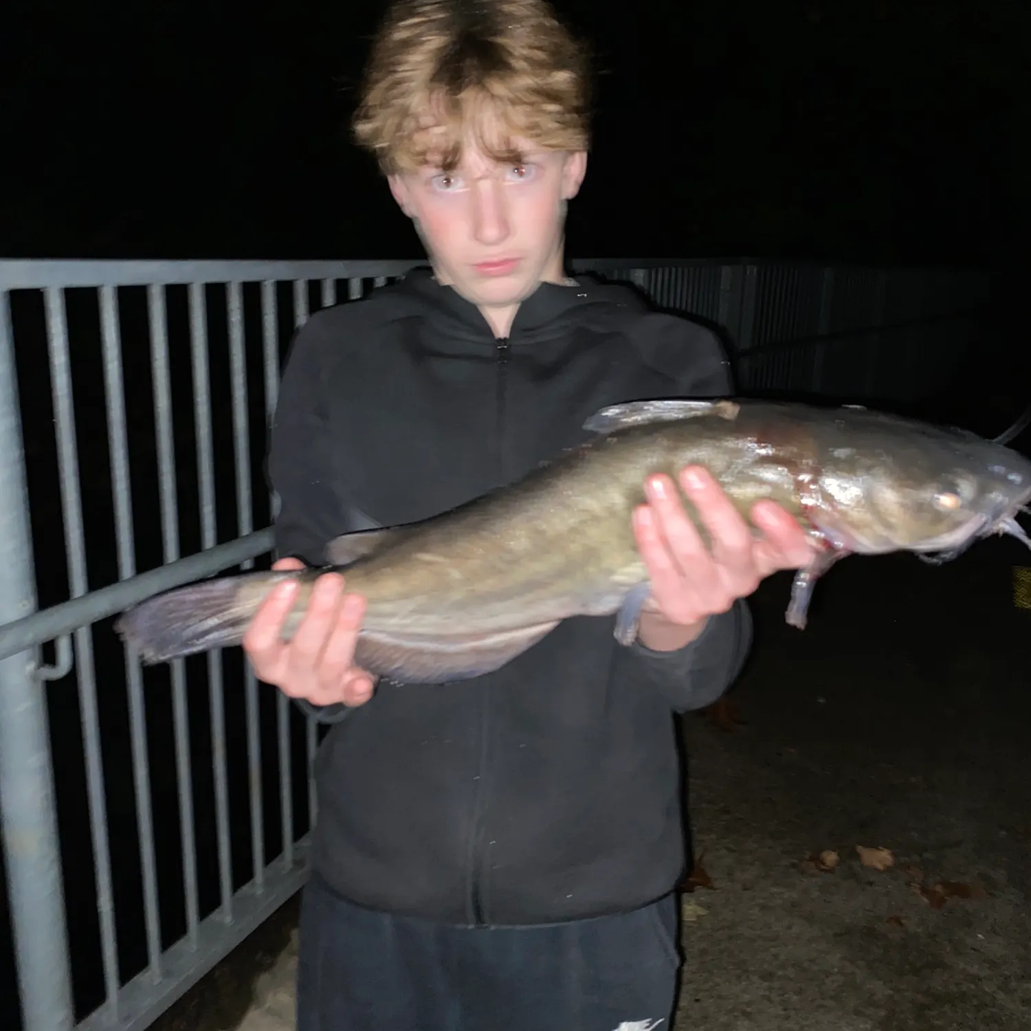 Channel catfish caught on Fishbrain
