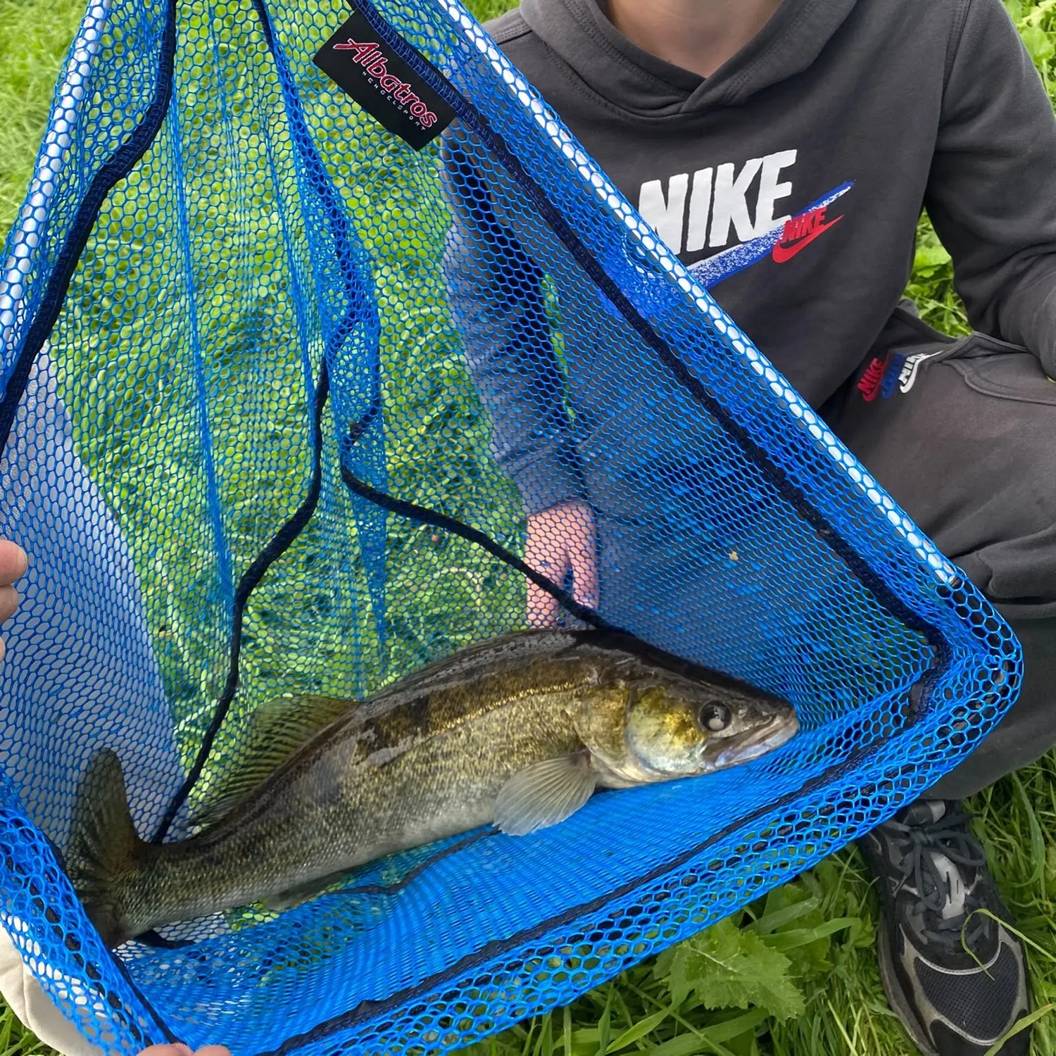 Zander caught on Fishbrain