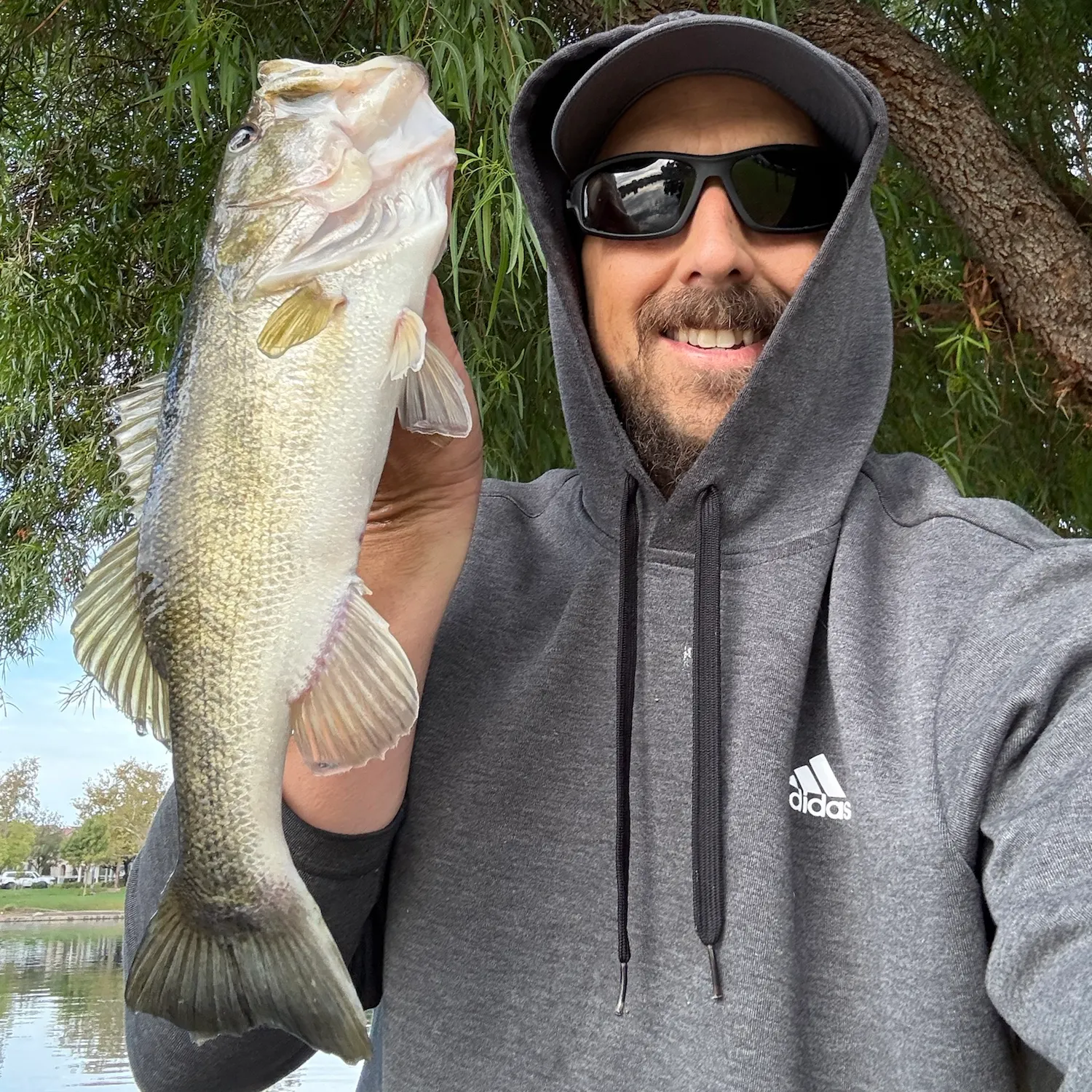 Largemouth bass caught on Fishbrain