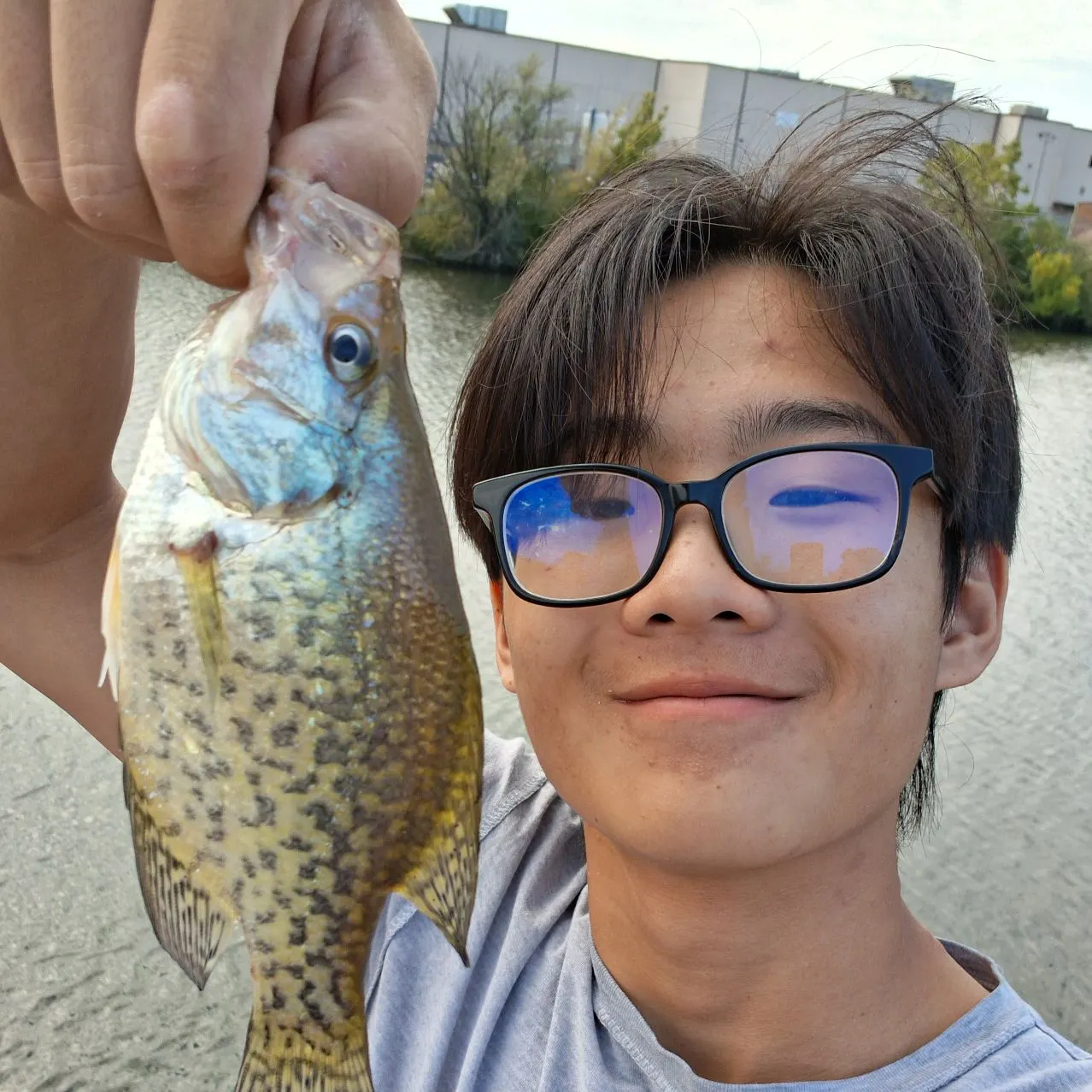 Black crappie caught on Fishbrain
