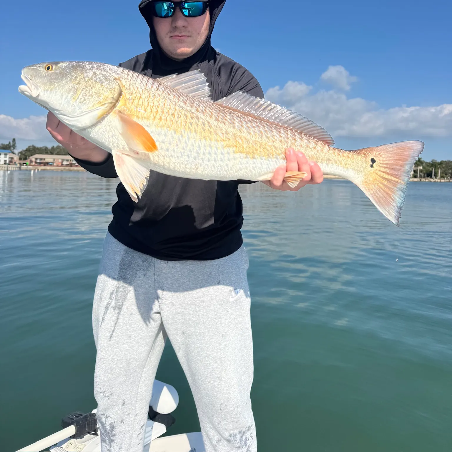 The most recent Red drum catches on Fishbrain