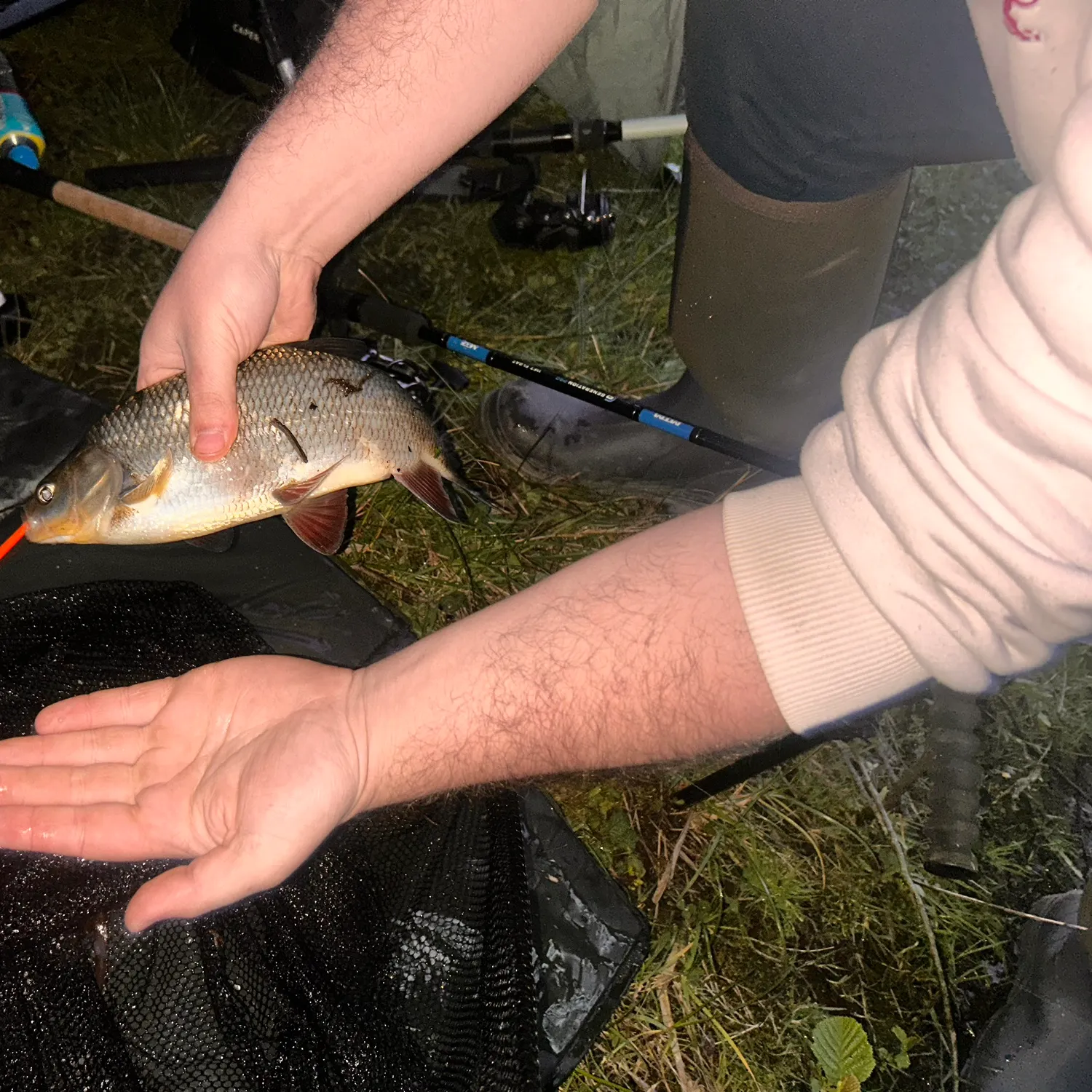 The most recent Ide catches on Fishbrain