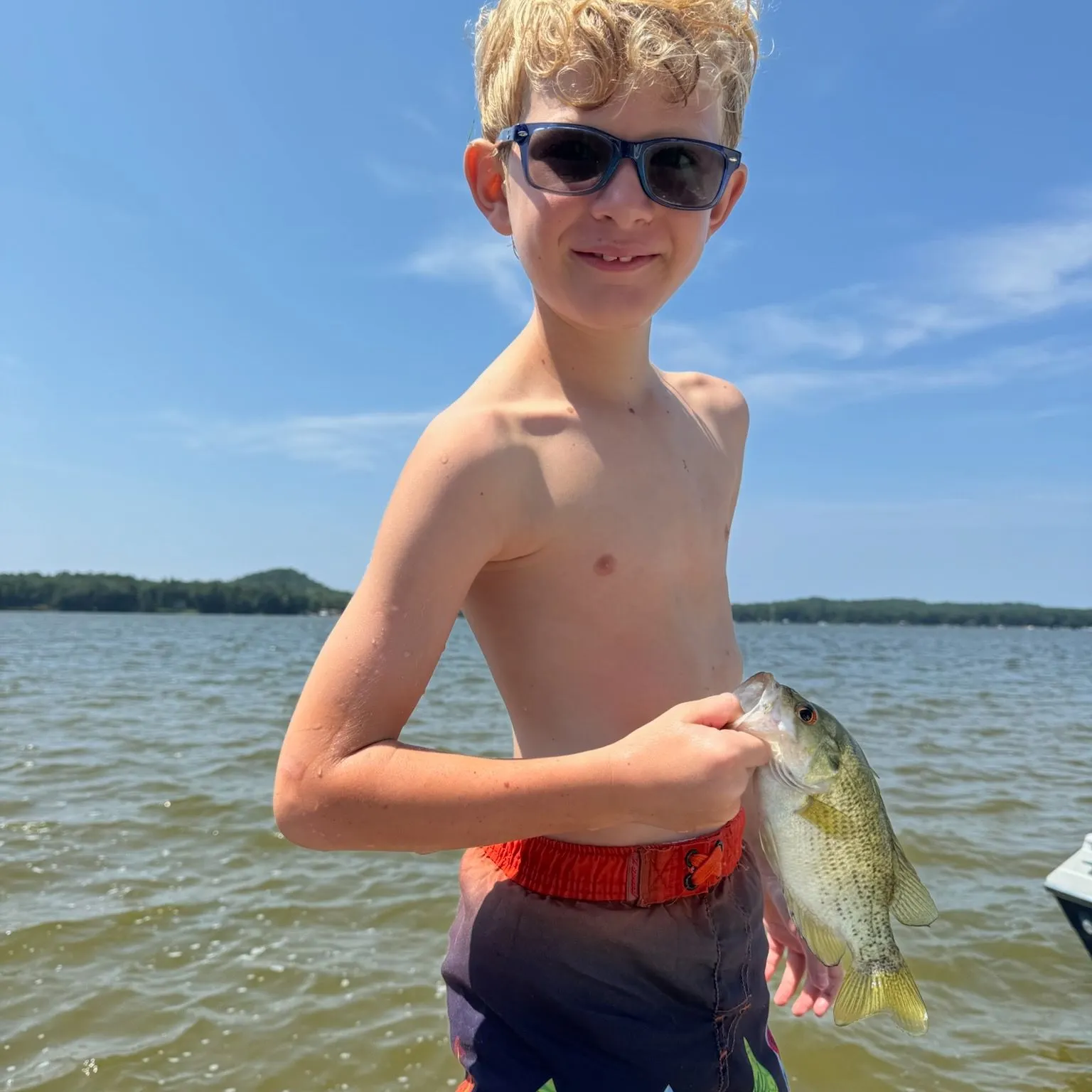 The most recent Rock bass catches on Fishbrain
