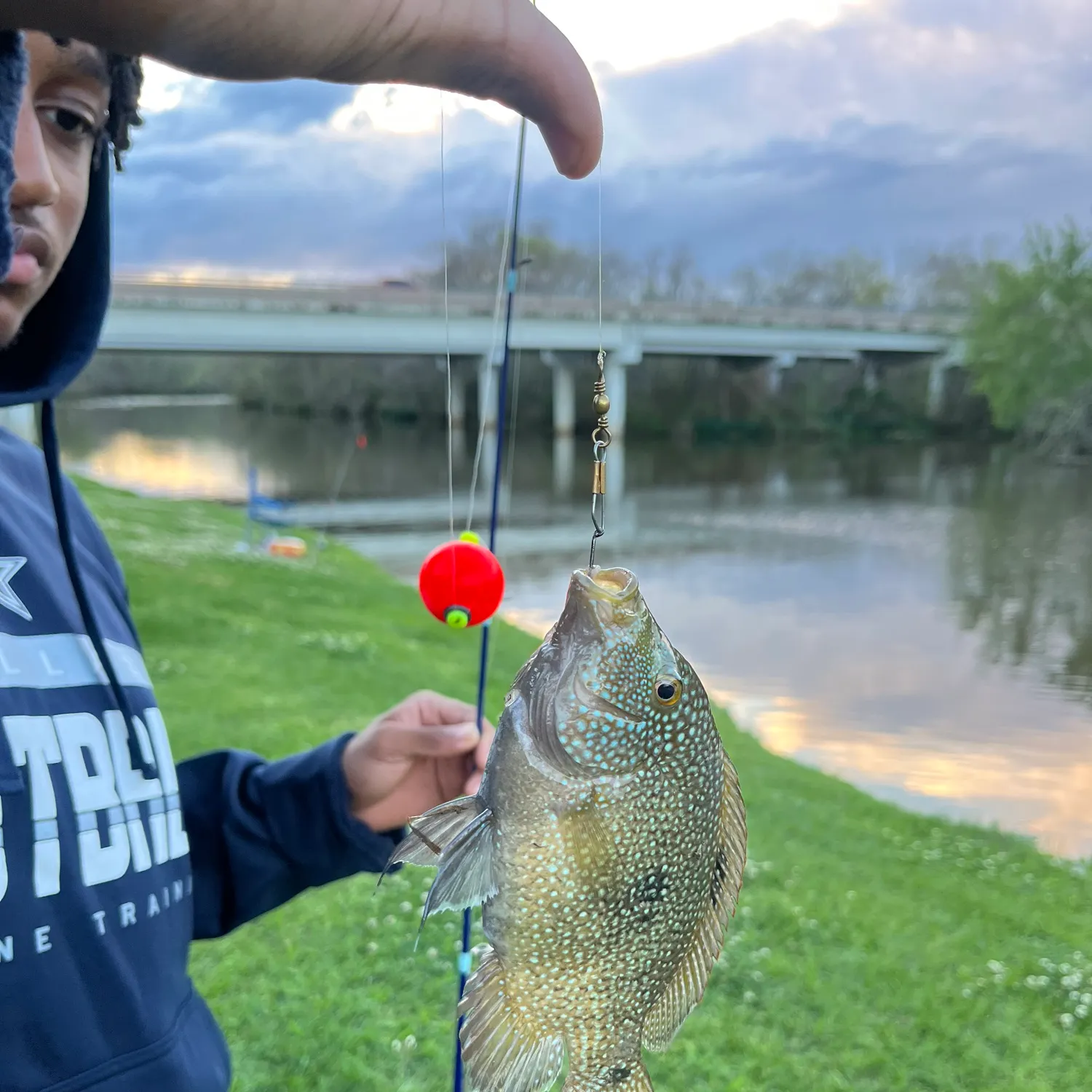 The most recent Rio Grande cichlid catches on Fishbrain