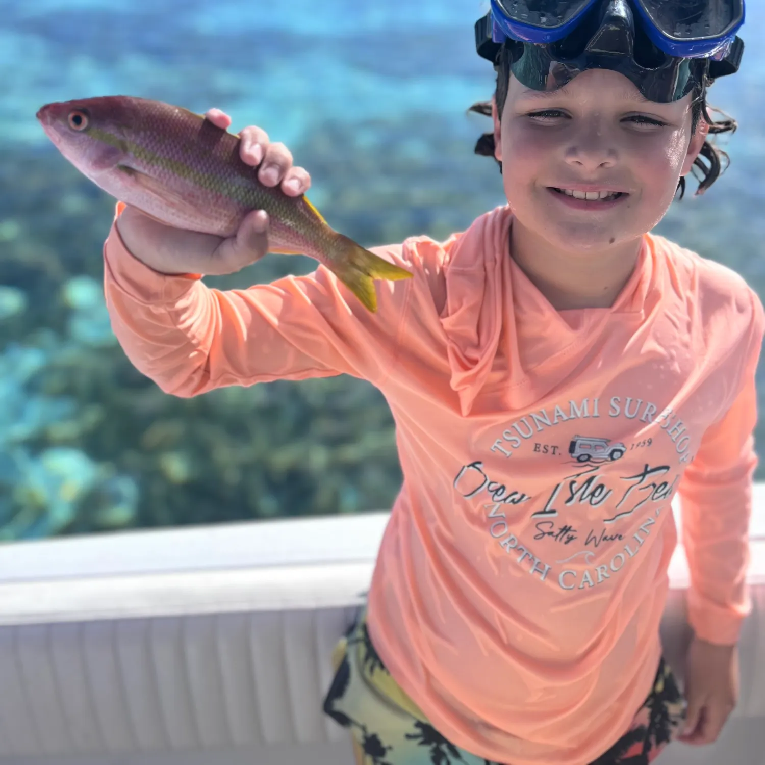 The most recent Yellowtail snapper catches on Fishbrain