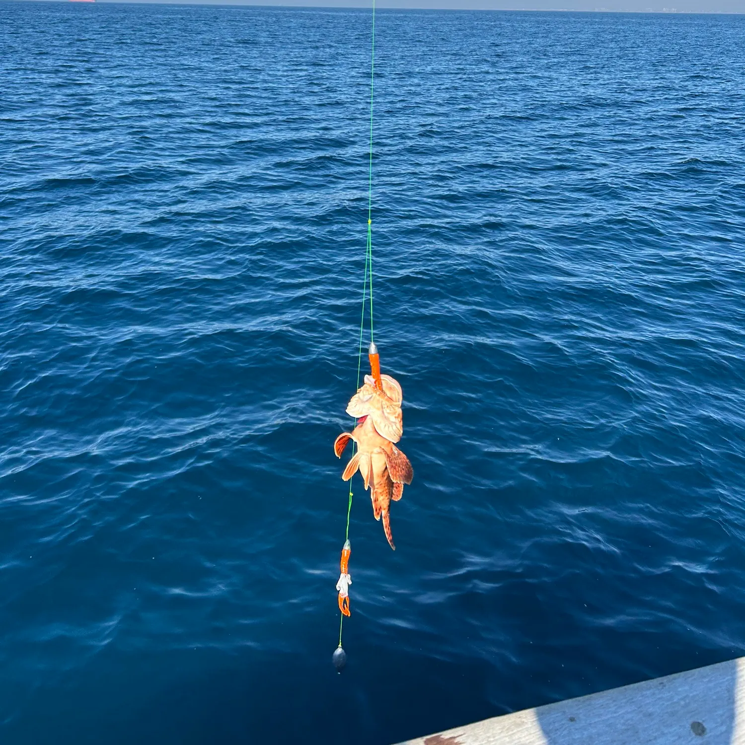 The most recent Spinyhead sculpin catches on Fishbrain