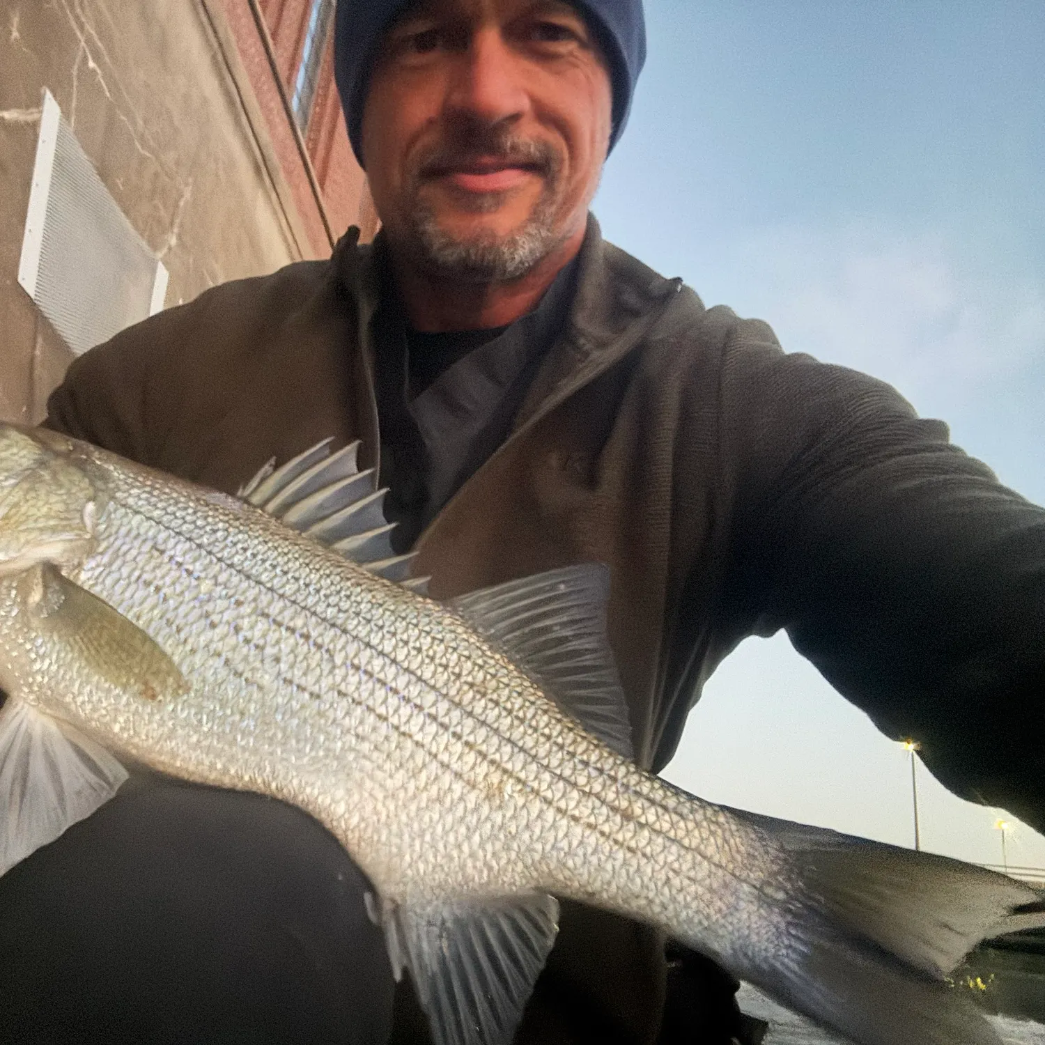 The most recent Wiper catches on Fishbrain