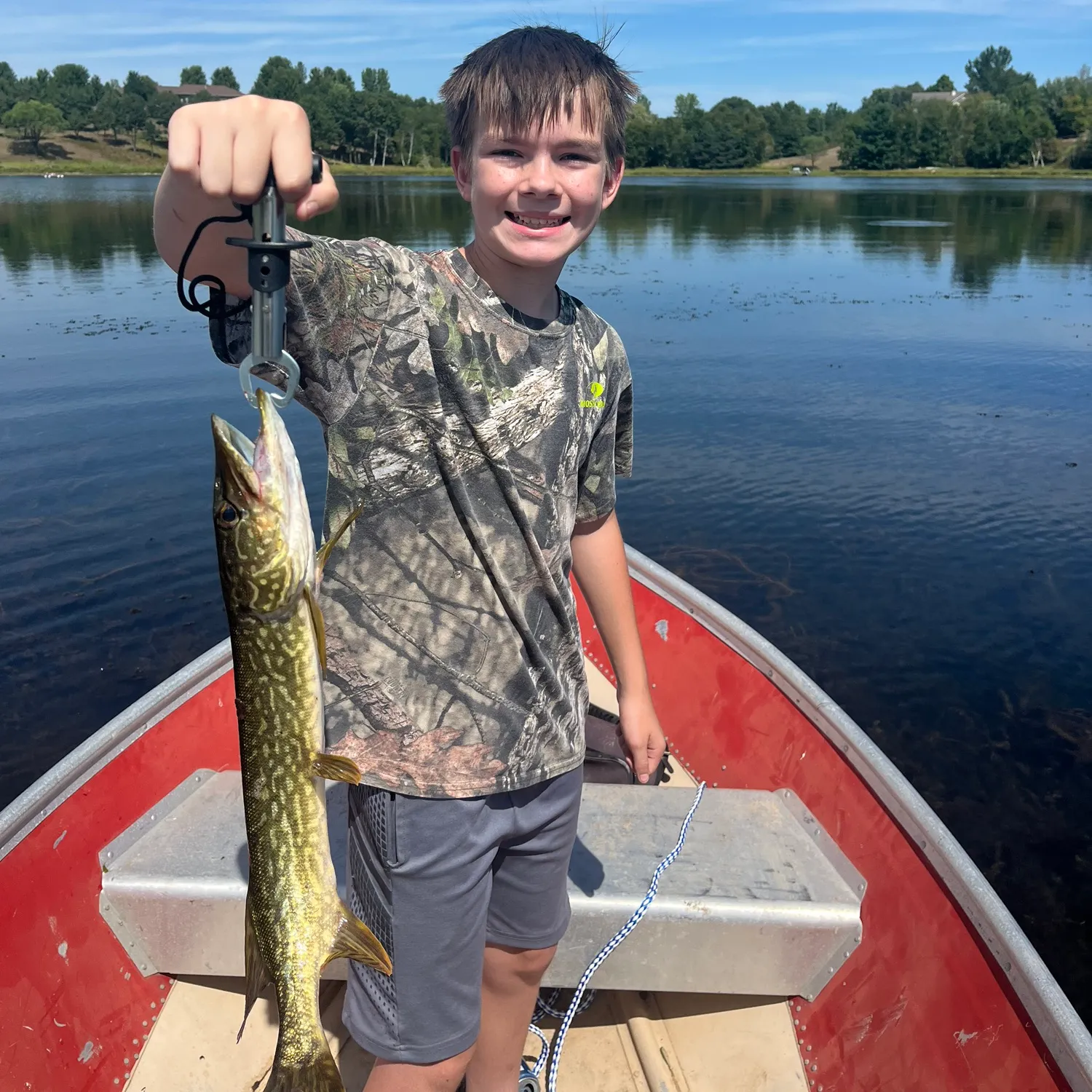 Northern pike caught on Fishbrain