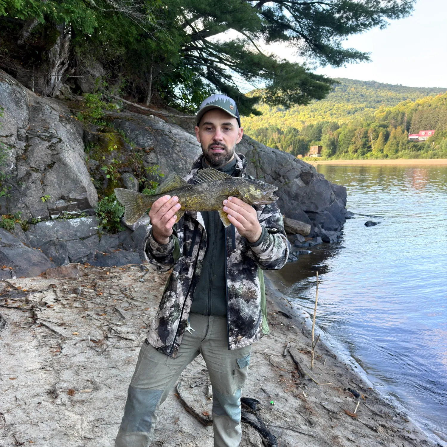 Walleye caught on Fishbrain