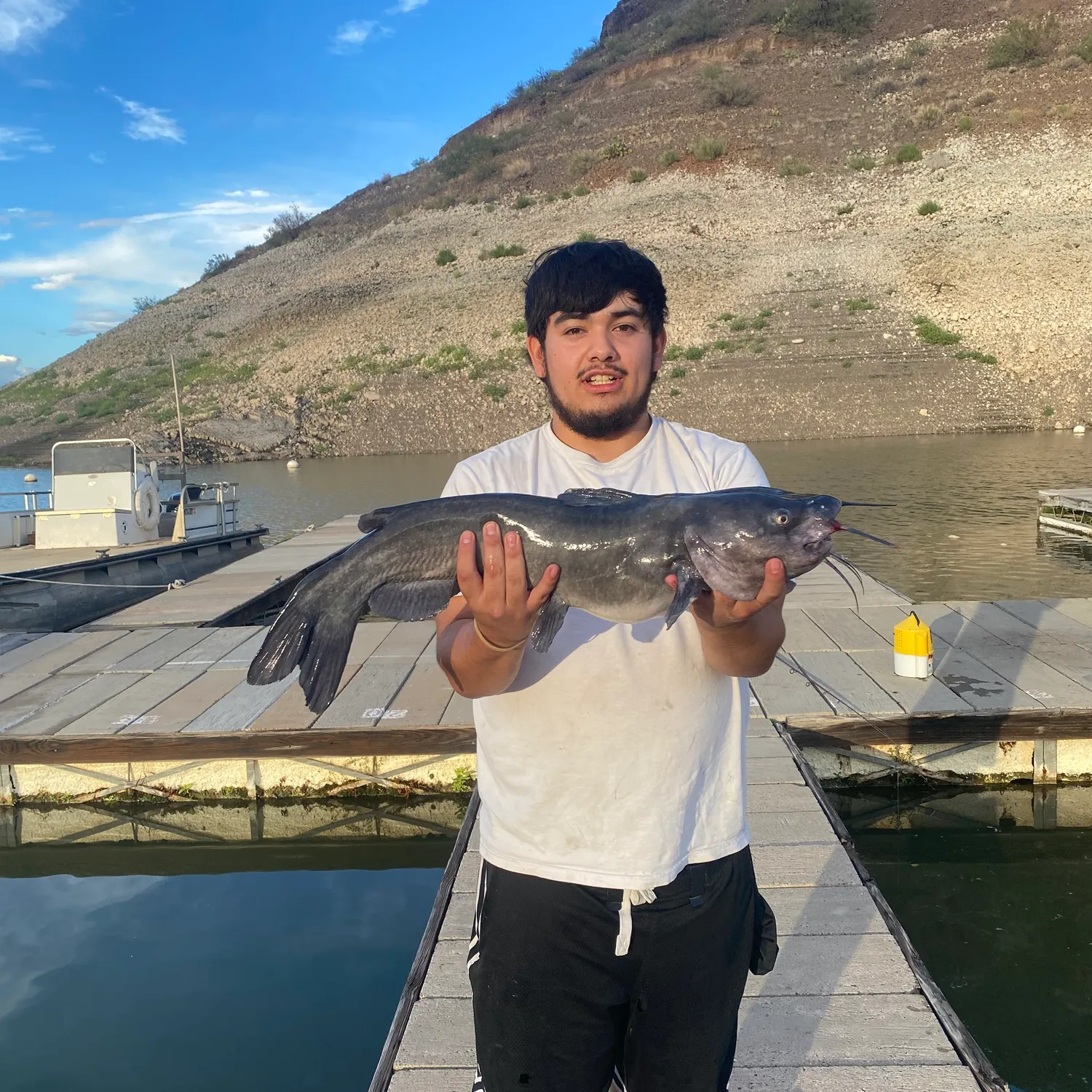Channel catfish caught on Fishbrain