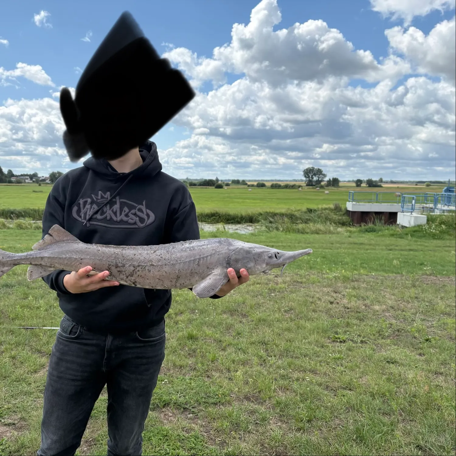 The most recent Green sturgeon catches on Fishbrain