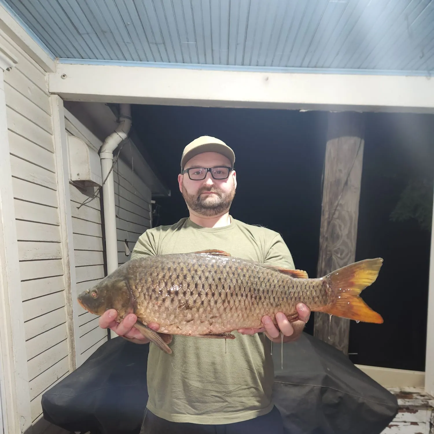 Common carp caught on Fishbrain