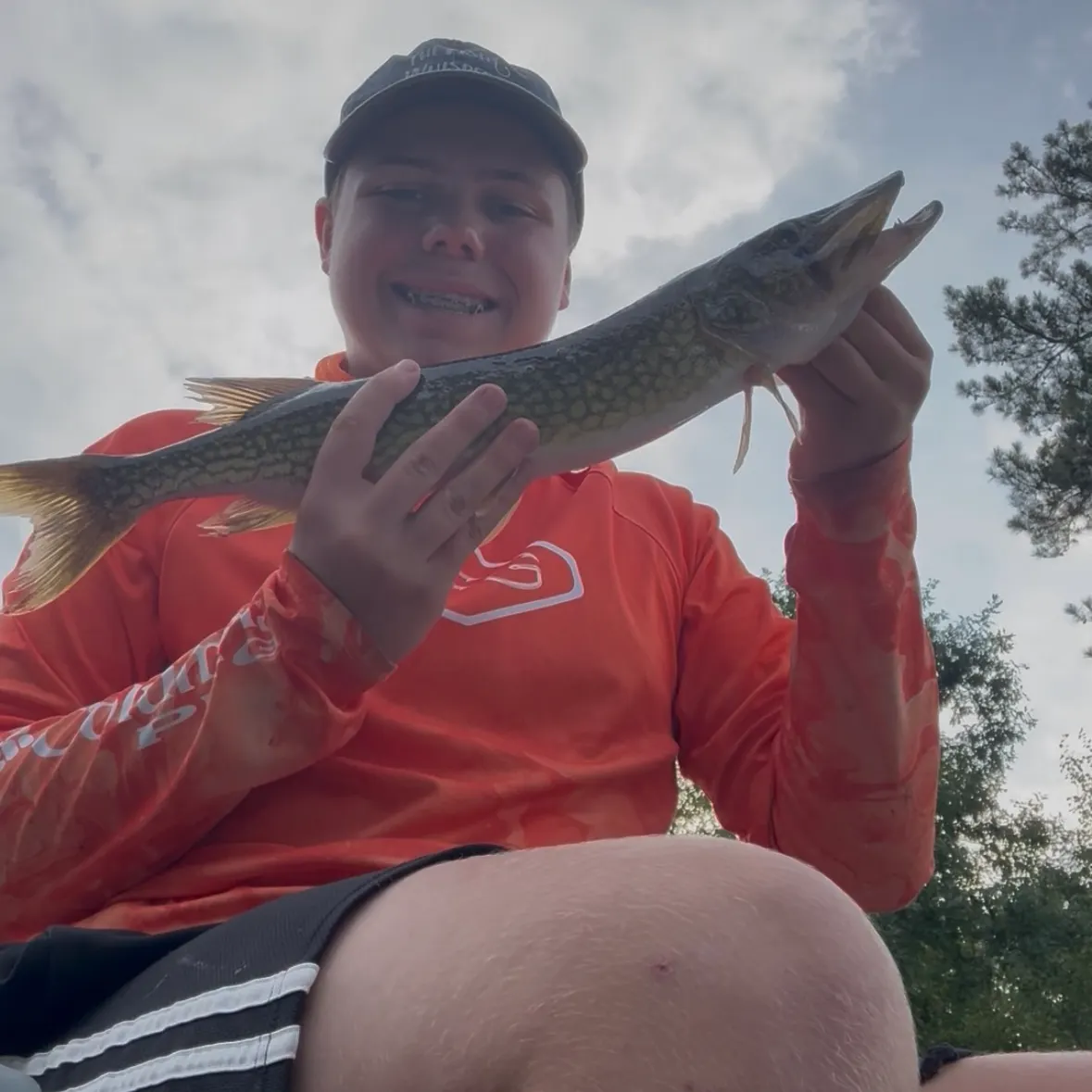Chain pickerel caught on Fishbrain