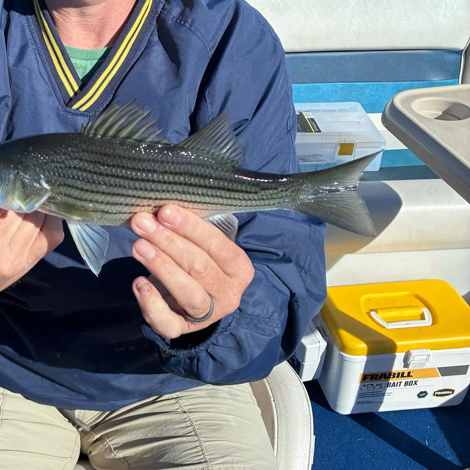 Wiper caught on Fishbrain