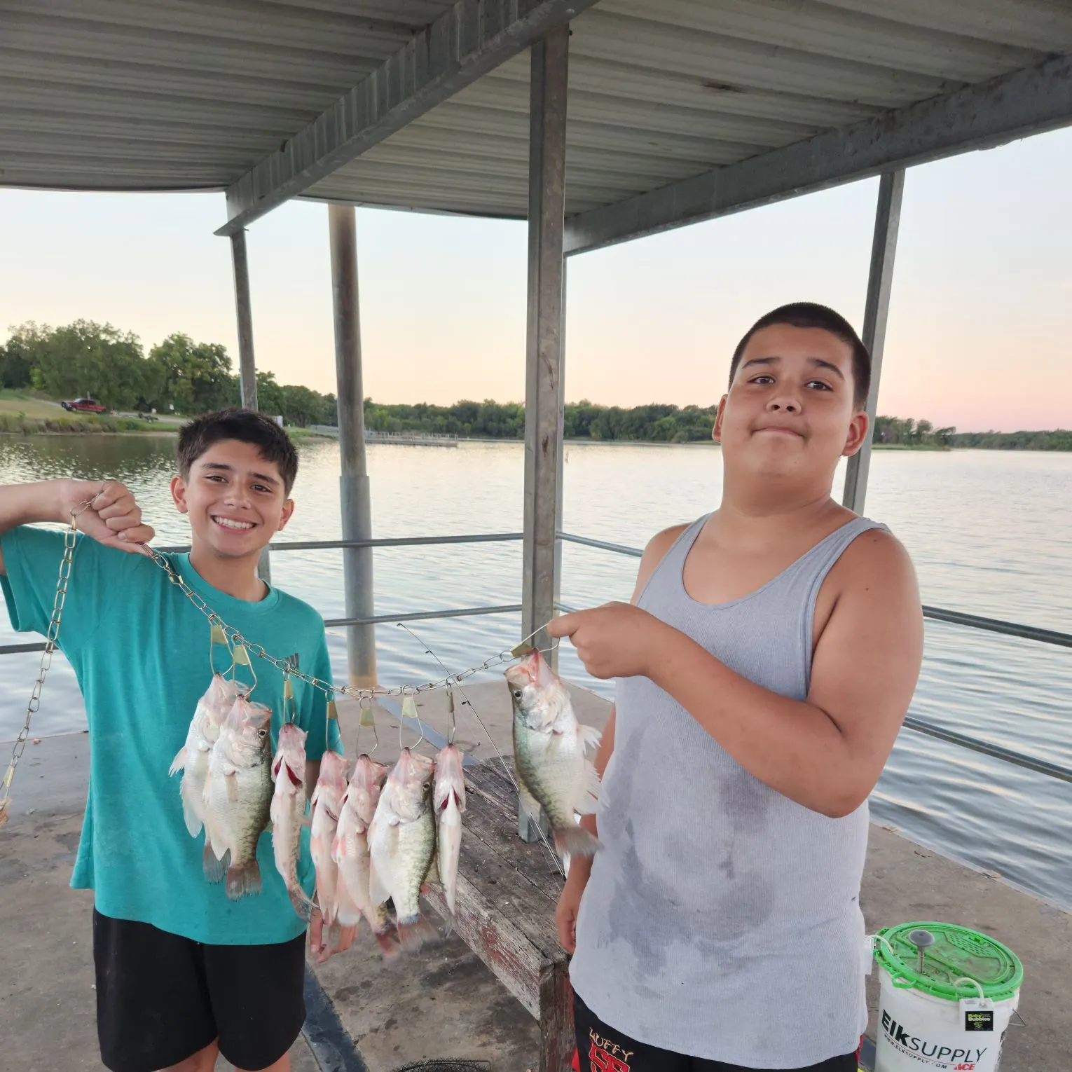White crappie caught on Fishbrain