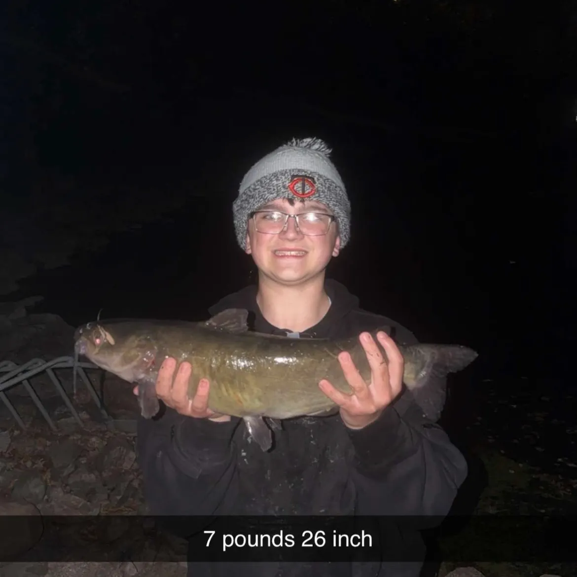 Channel catfish caught on Fishbrain