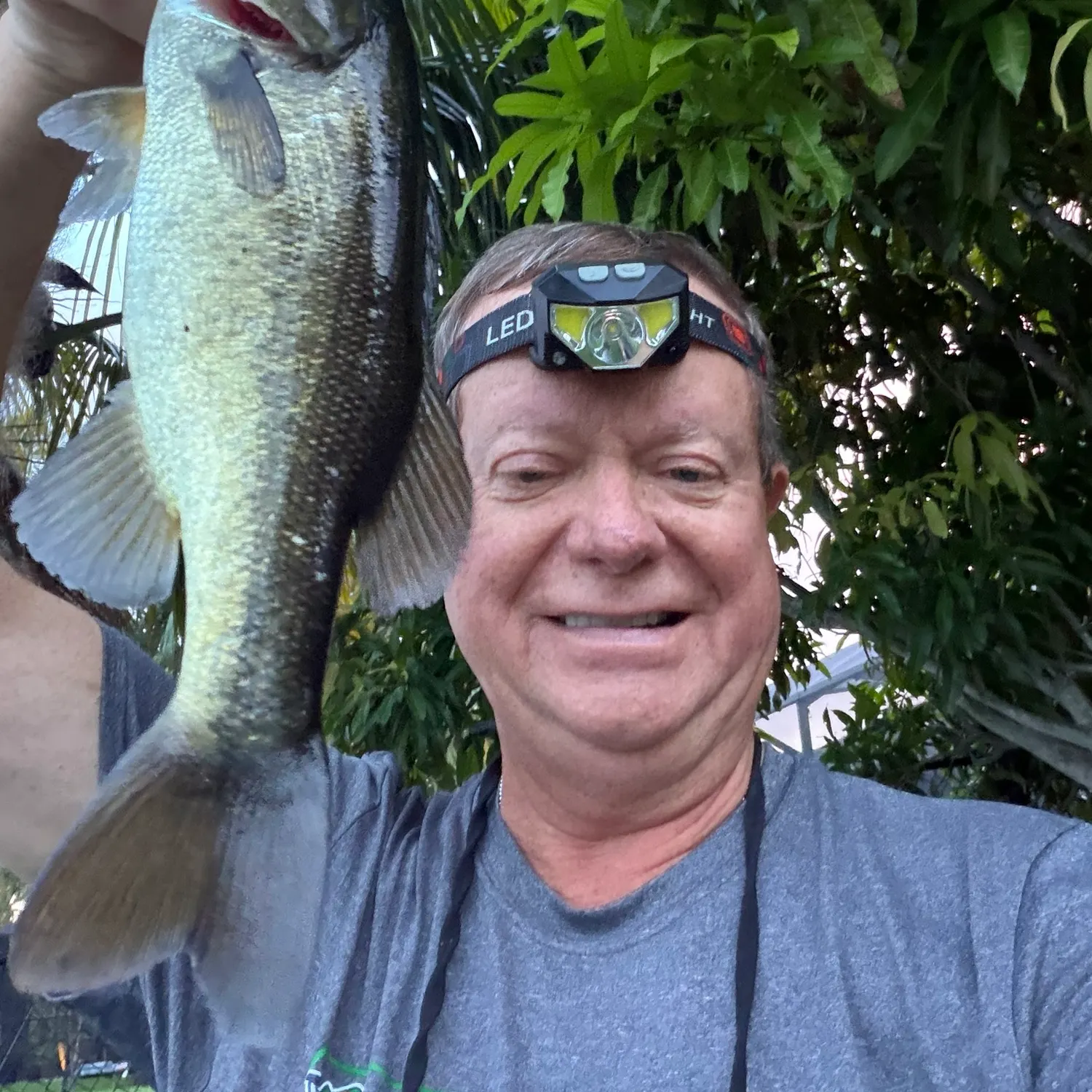 Florida bass caught on Fishbrain