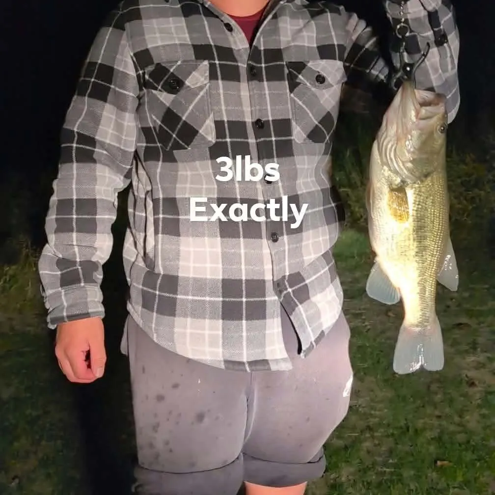 Fish caught on Fishbrain
