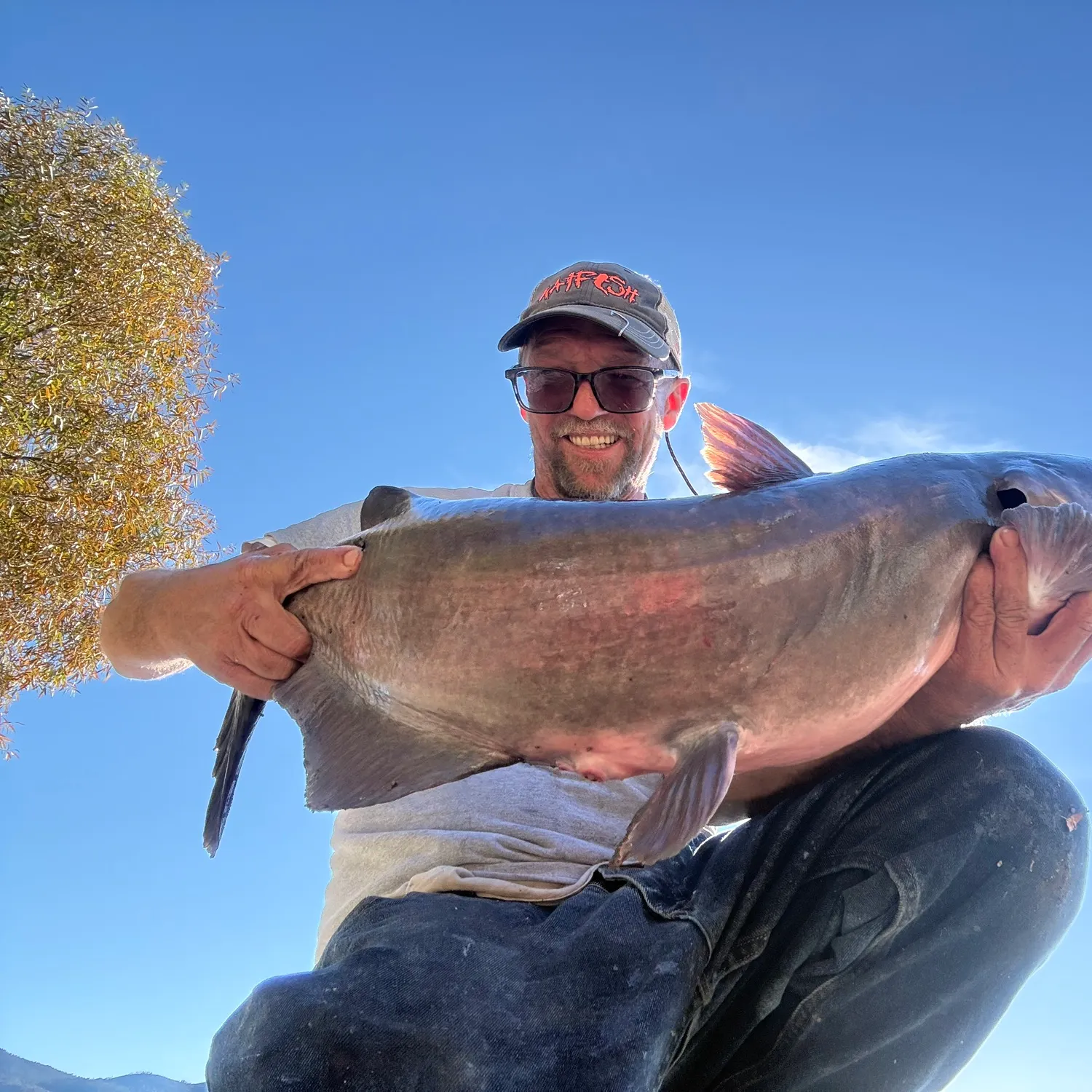 Channel catfish caught on Fishbrain