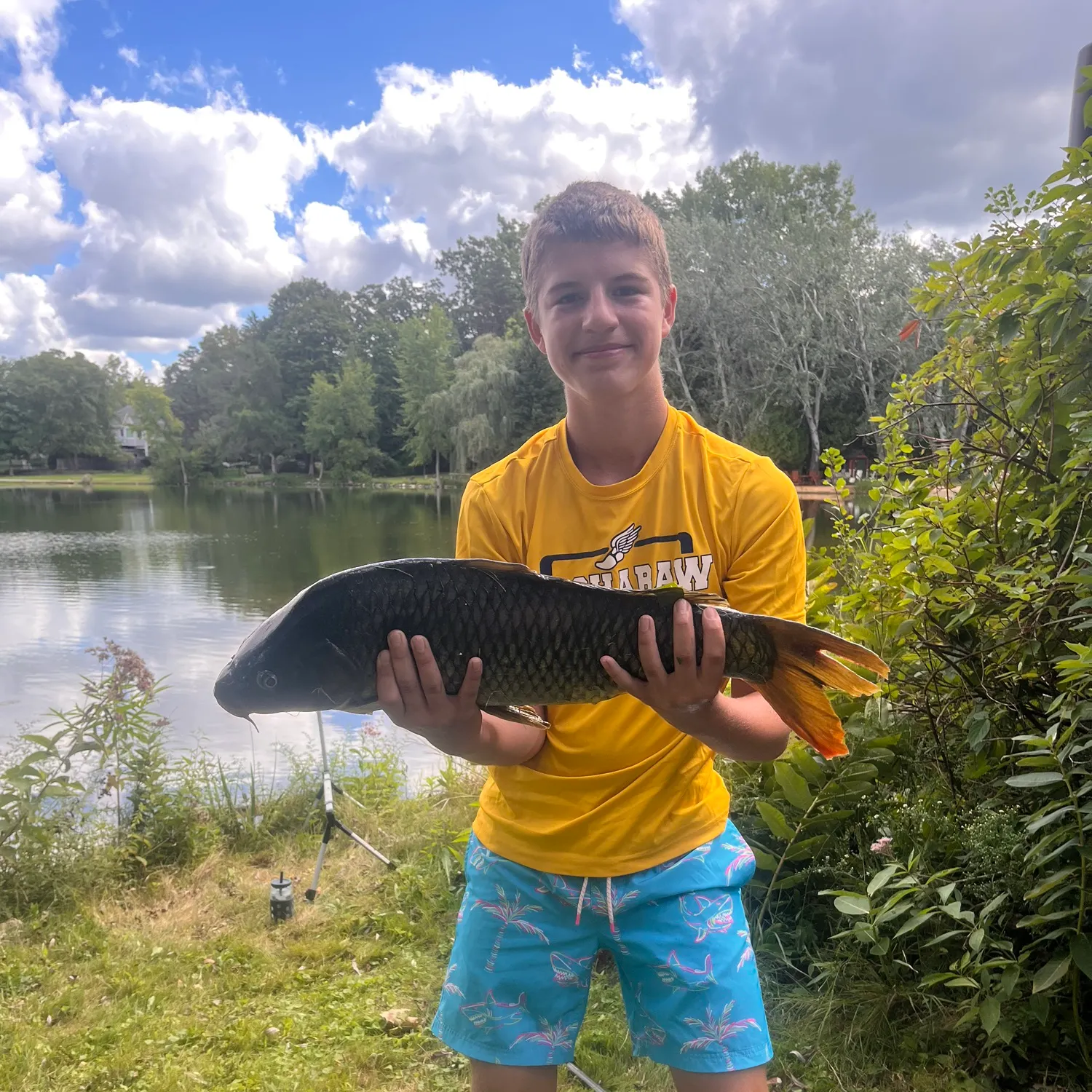 Common carp caught on Fishbrain