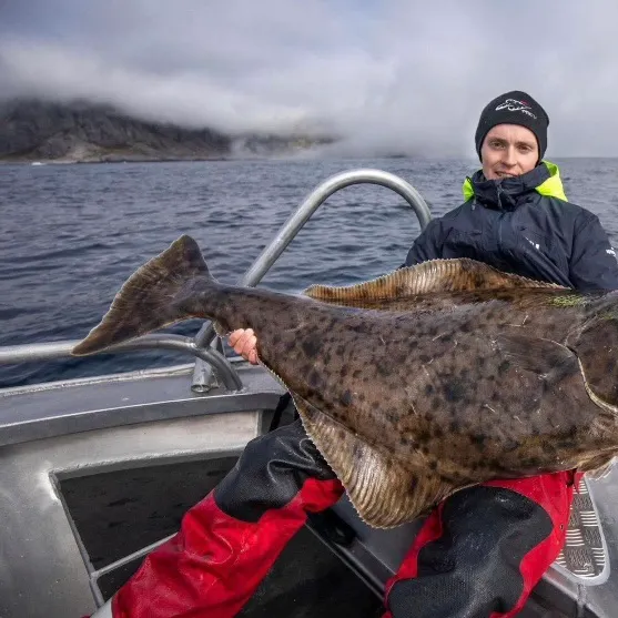 Pacific halibut caught on Fishbrain