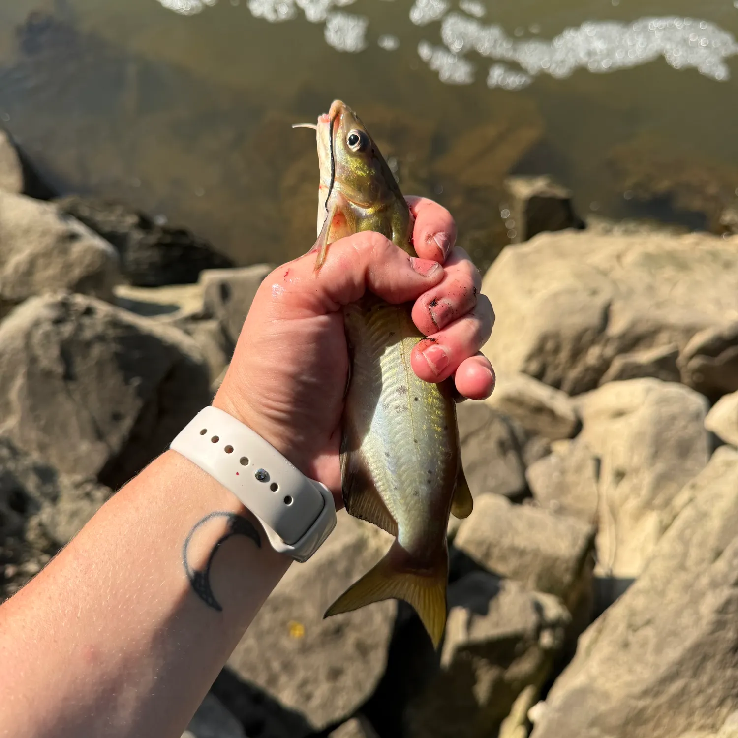 catch