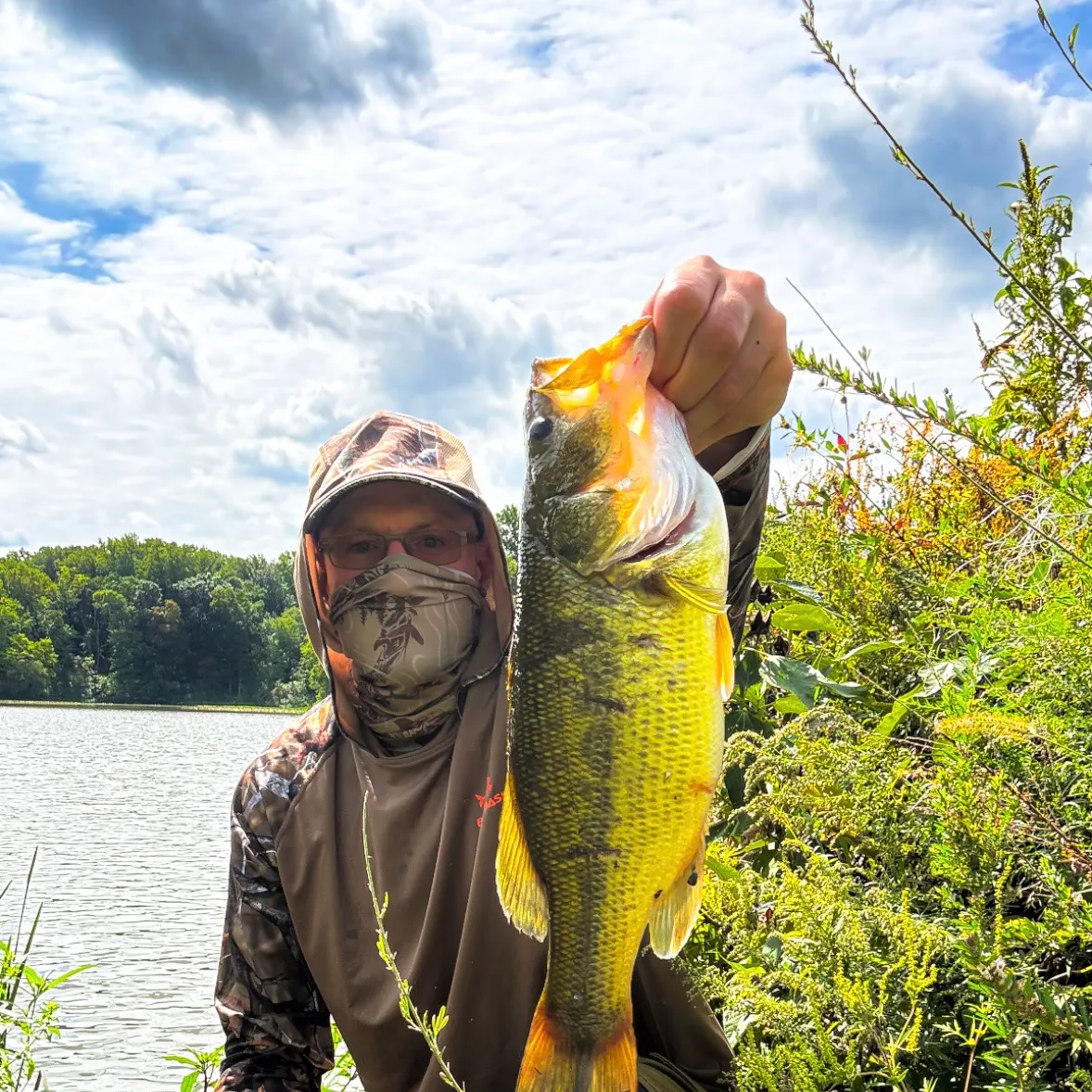 Largemouth bass caught on Fishbrain