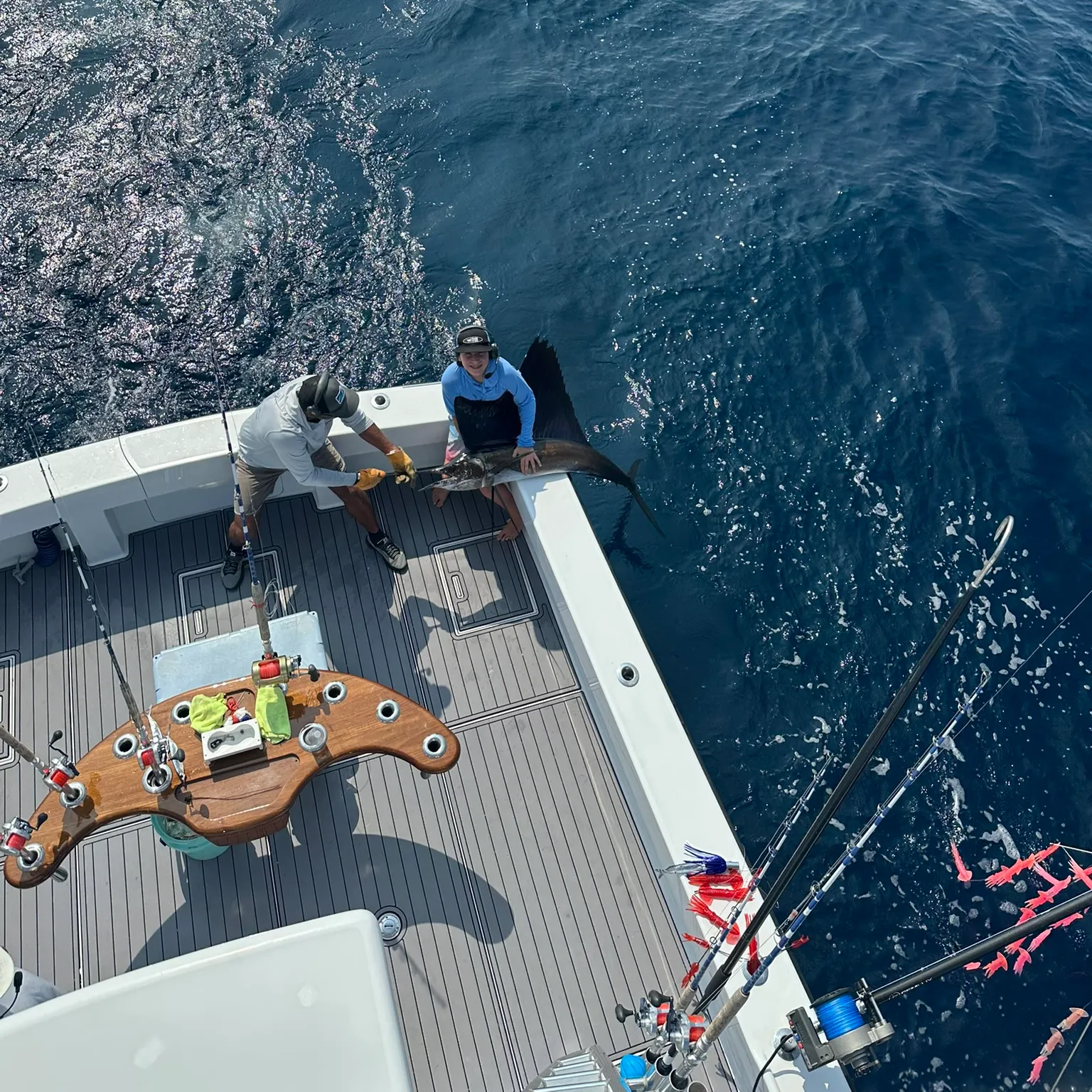 The most recent Indo-Pacific sailfish catches on Fishbrain