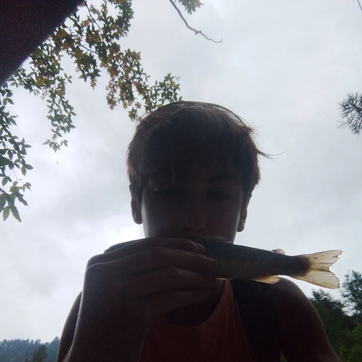 The most recent Marble trout catches on Fishbrain