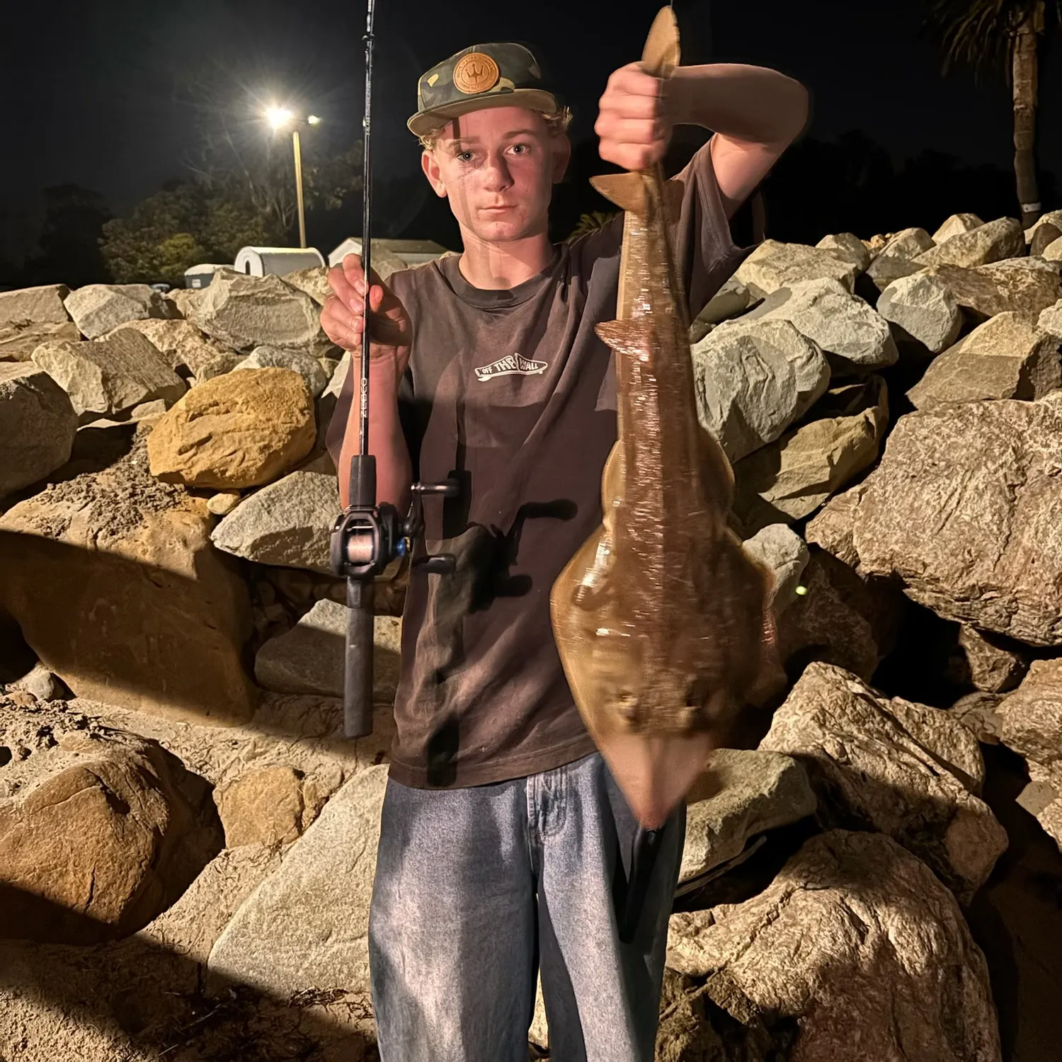 Pacific shovelnose guitarfish caught on Fishbrain