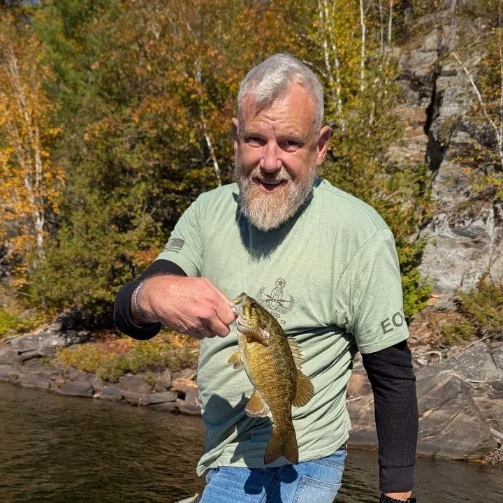Smallmouth bass caught on Fishbrain