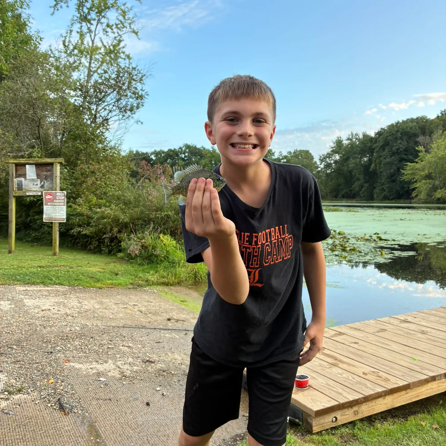 Pumpkinseed caught on Fishbrain