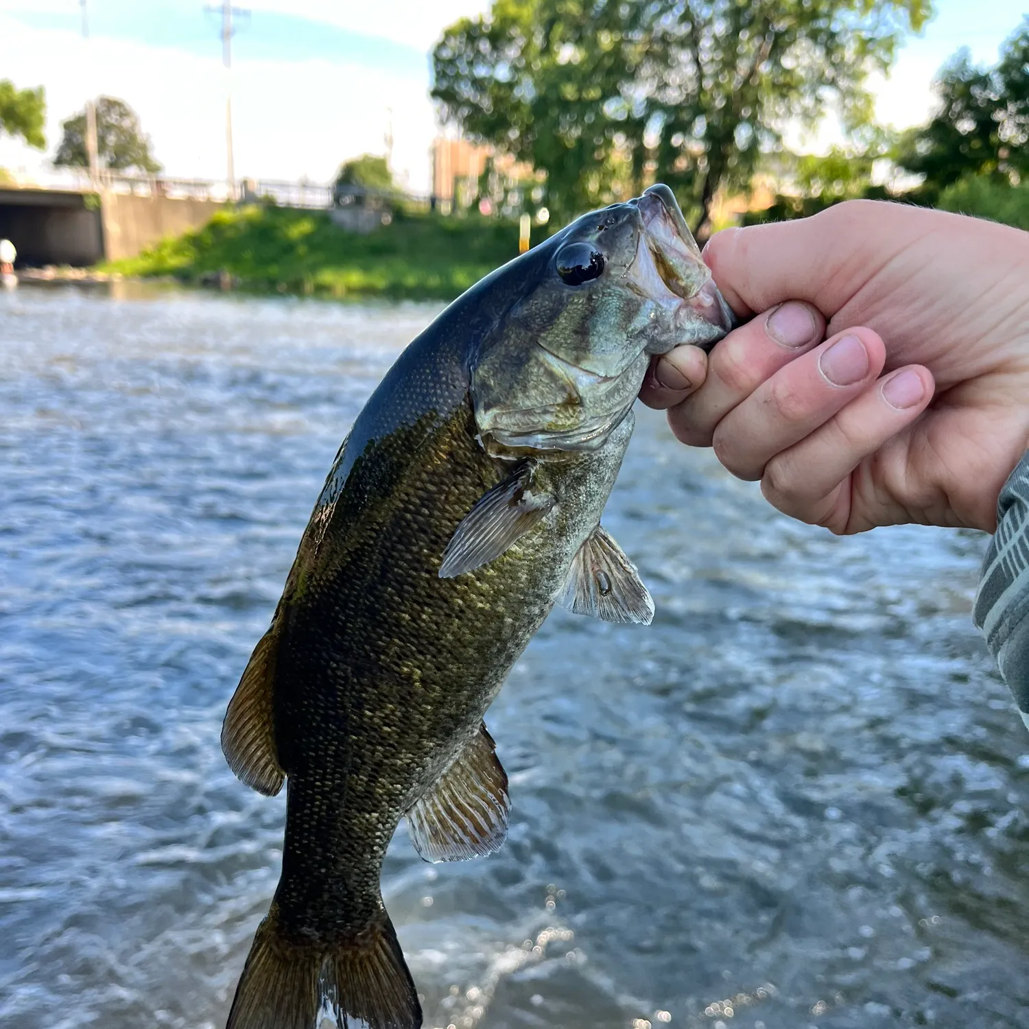 catch