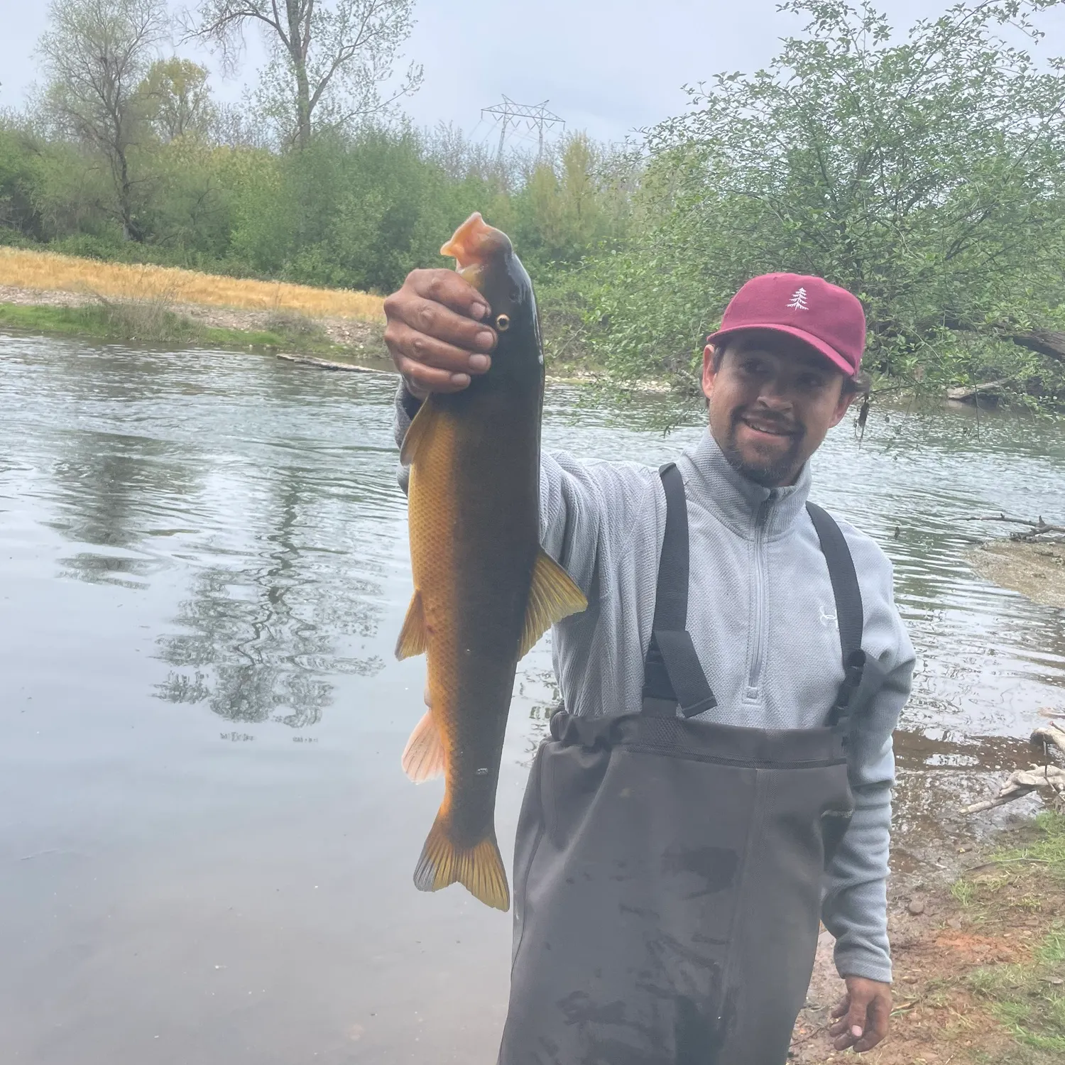 The most recent Sacramento sucker catches on Fishbrain
