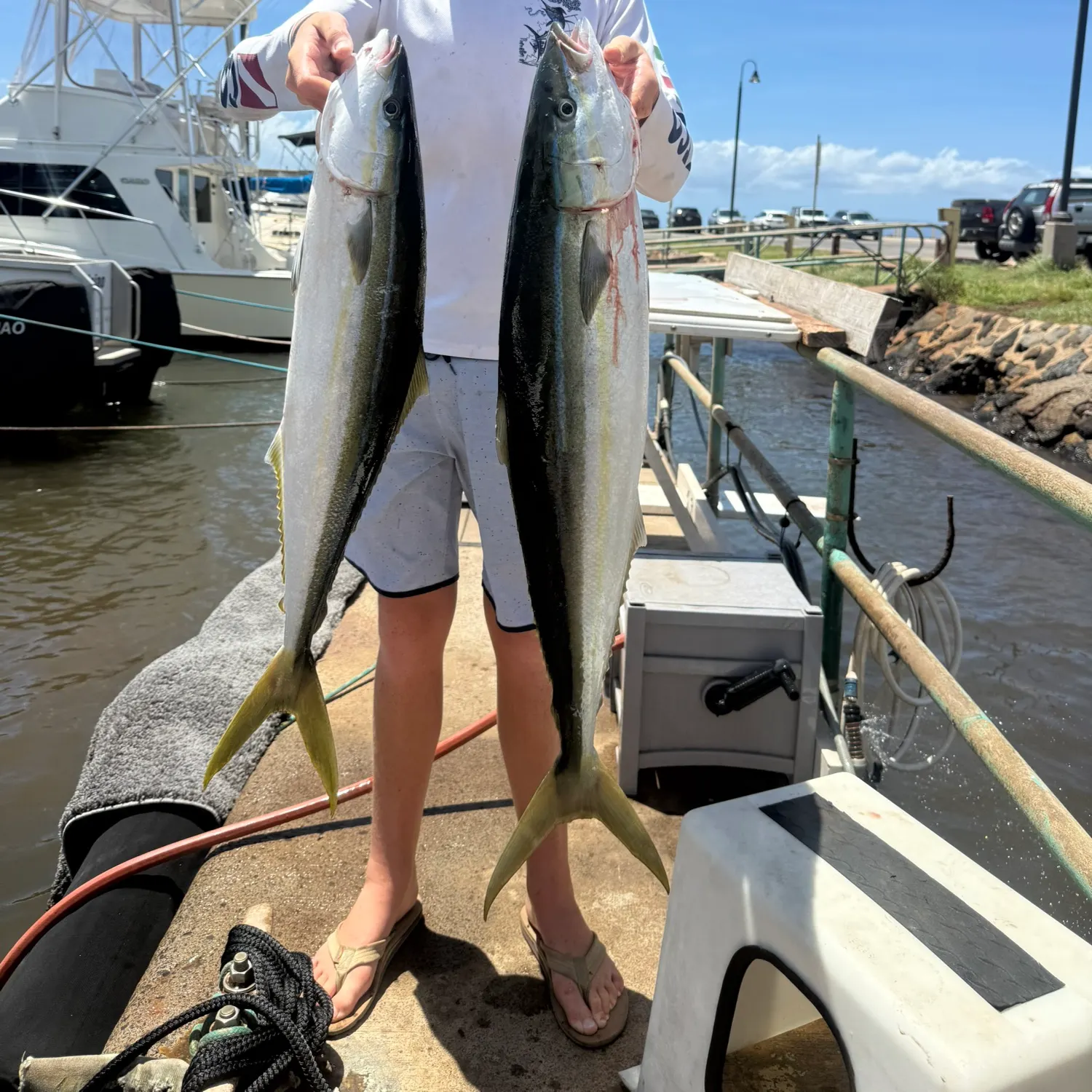 The most recent Rainbow runner catches on Fishbrain