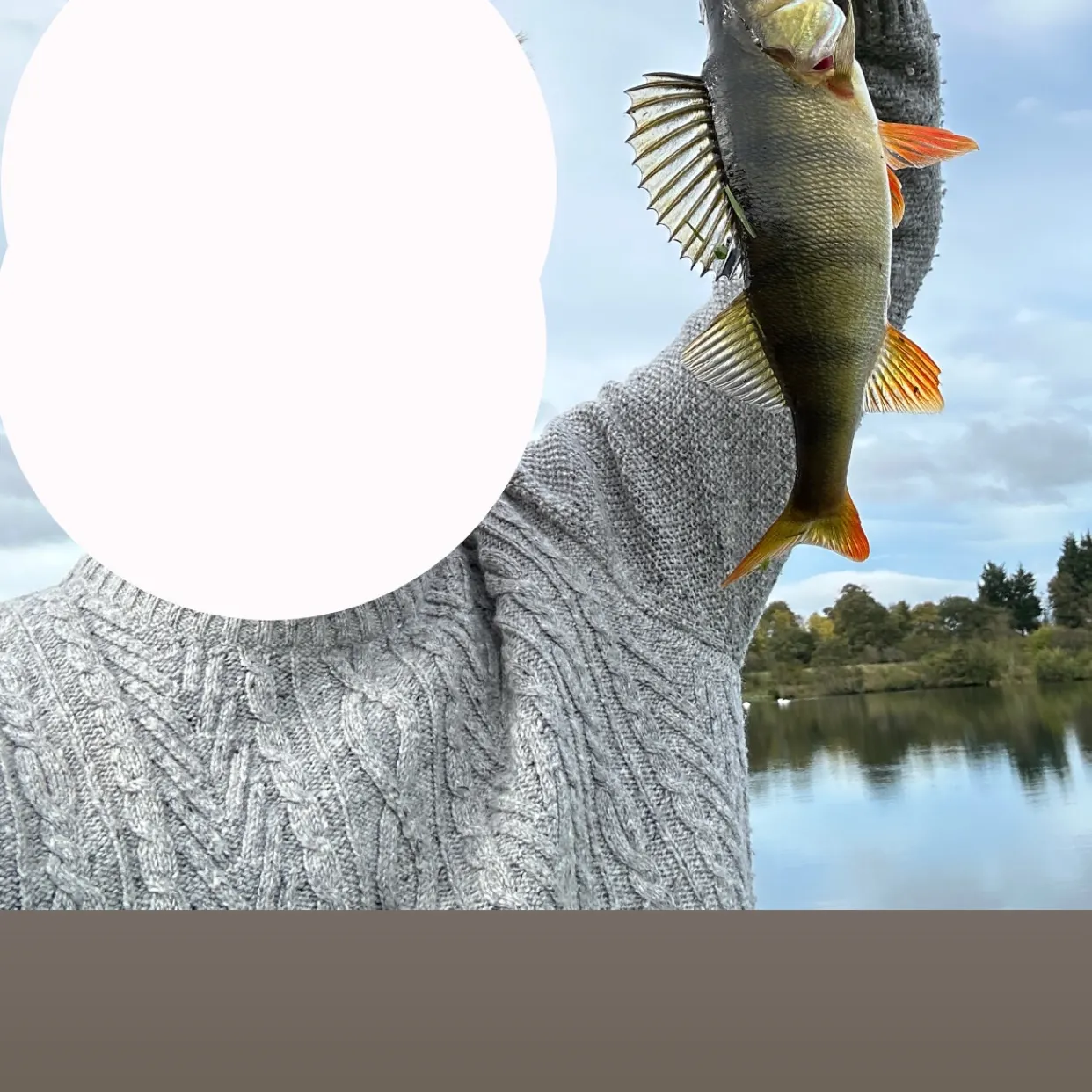 European perch caught on Fishbrain