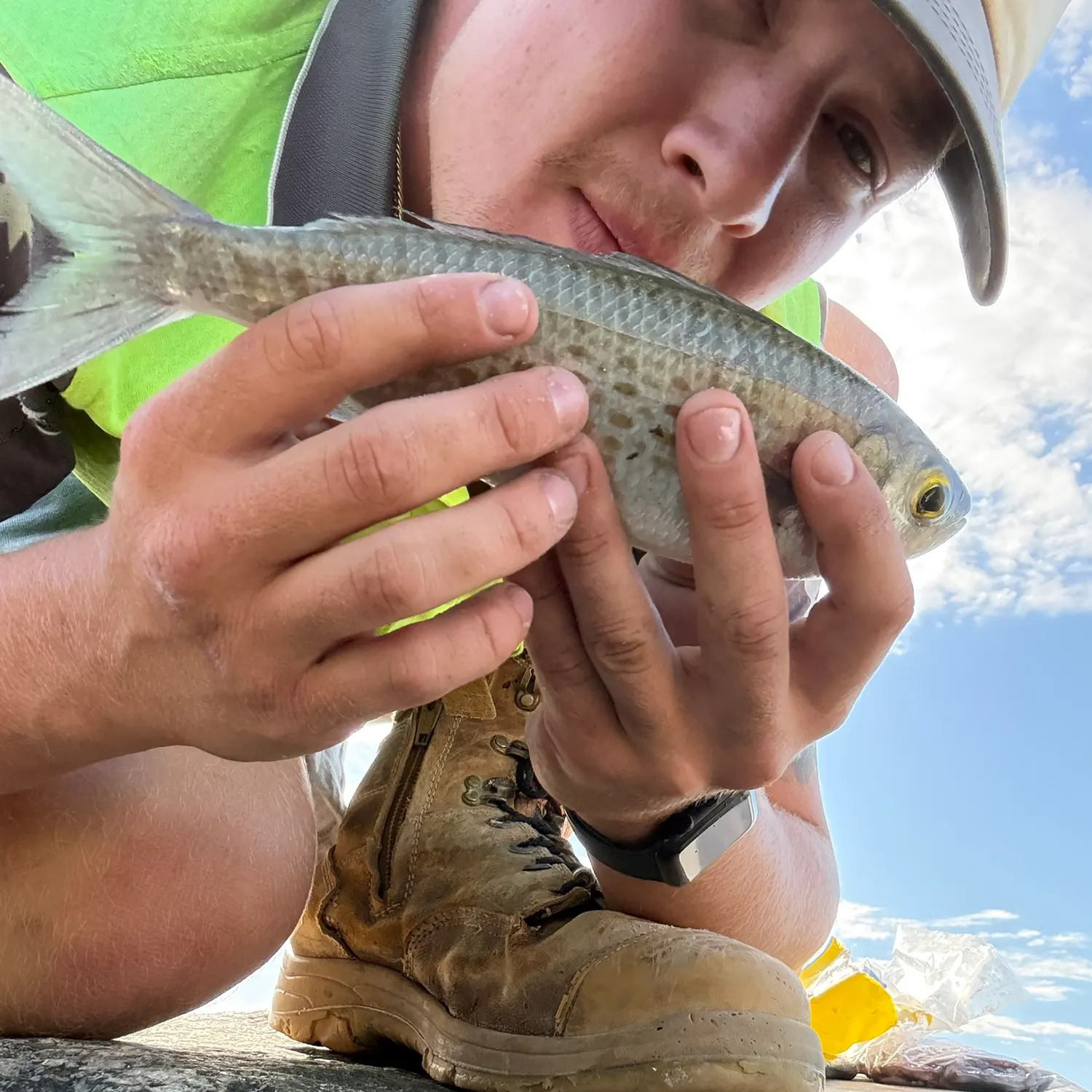 The most recent Australian ruff catches on Fishbrain
