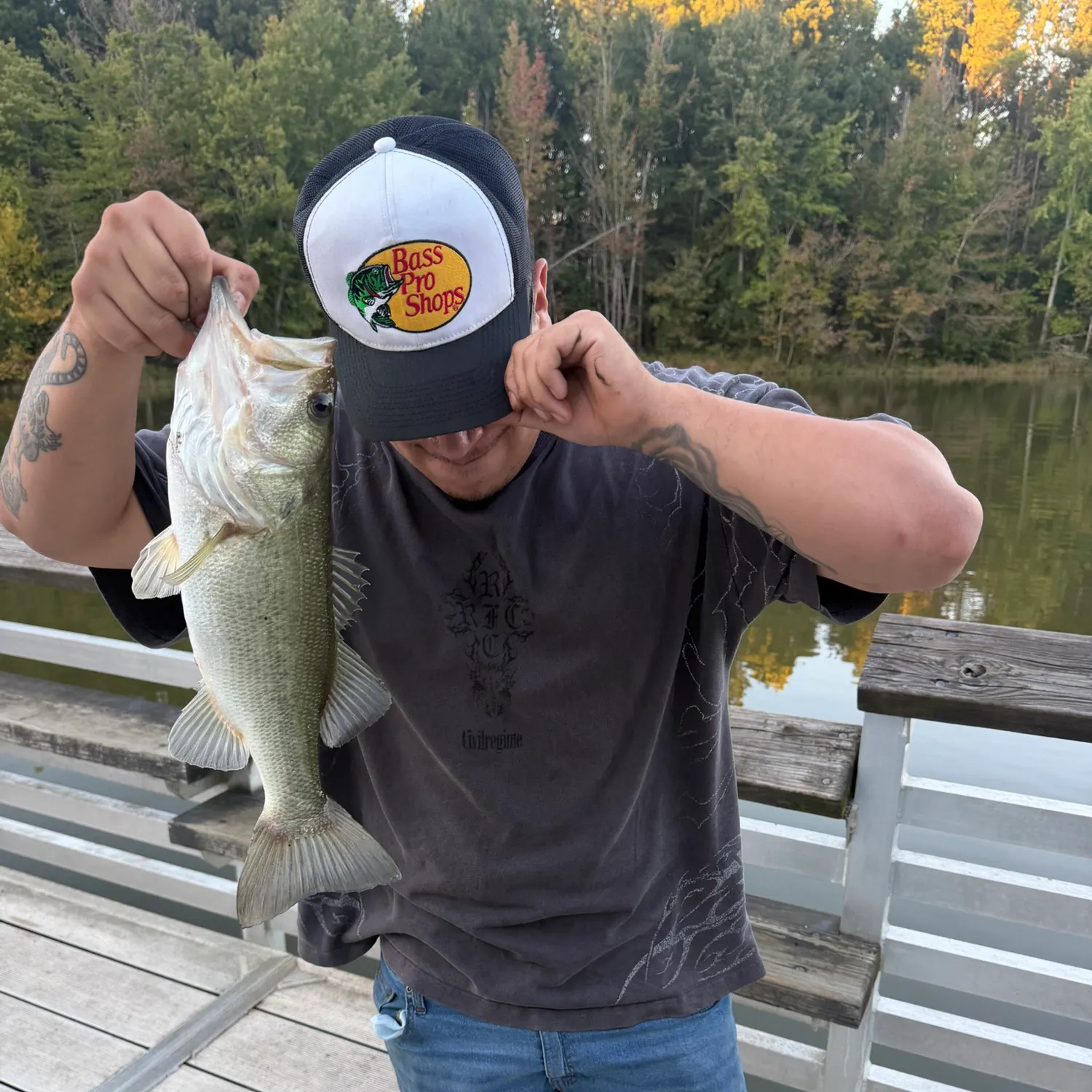 Largemouth bass caught on Fishbrain