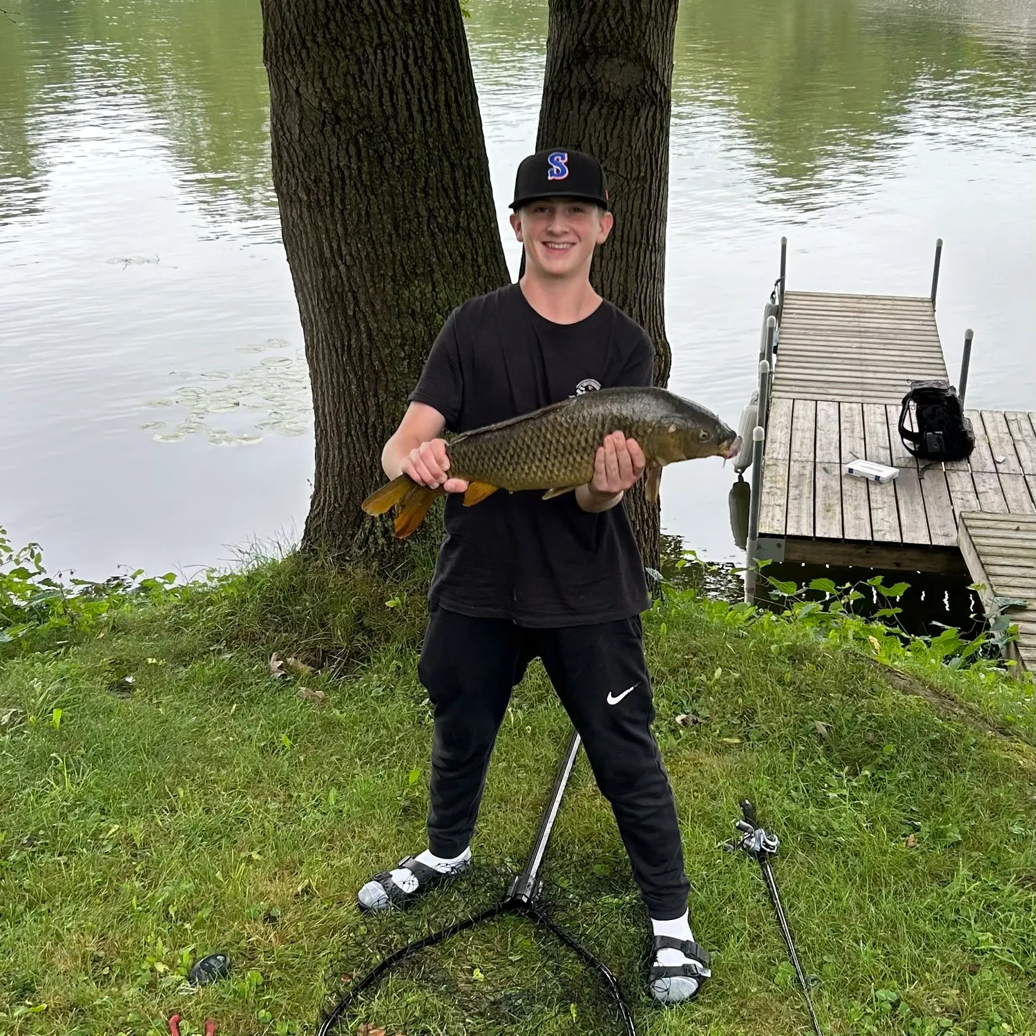 Common carp caught on Fishbrain