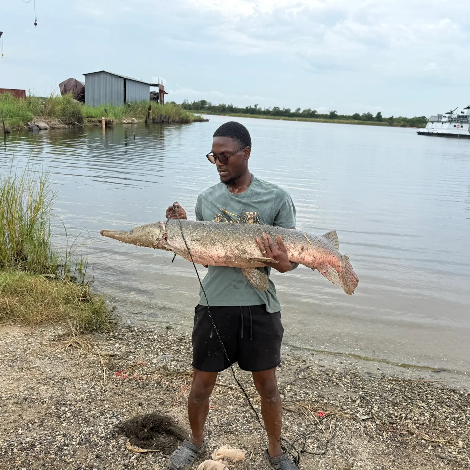 Alligator gar caught on Fishbrain