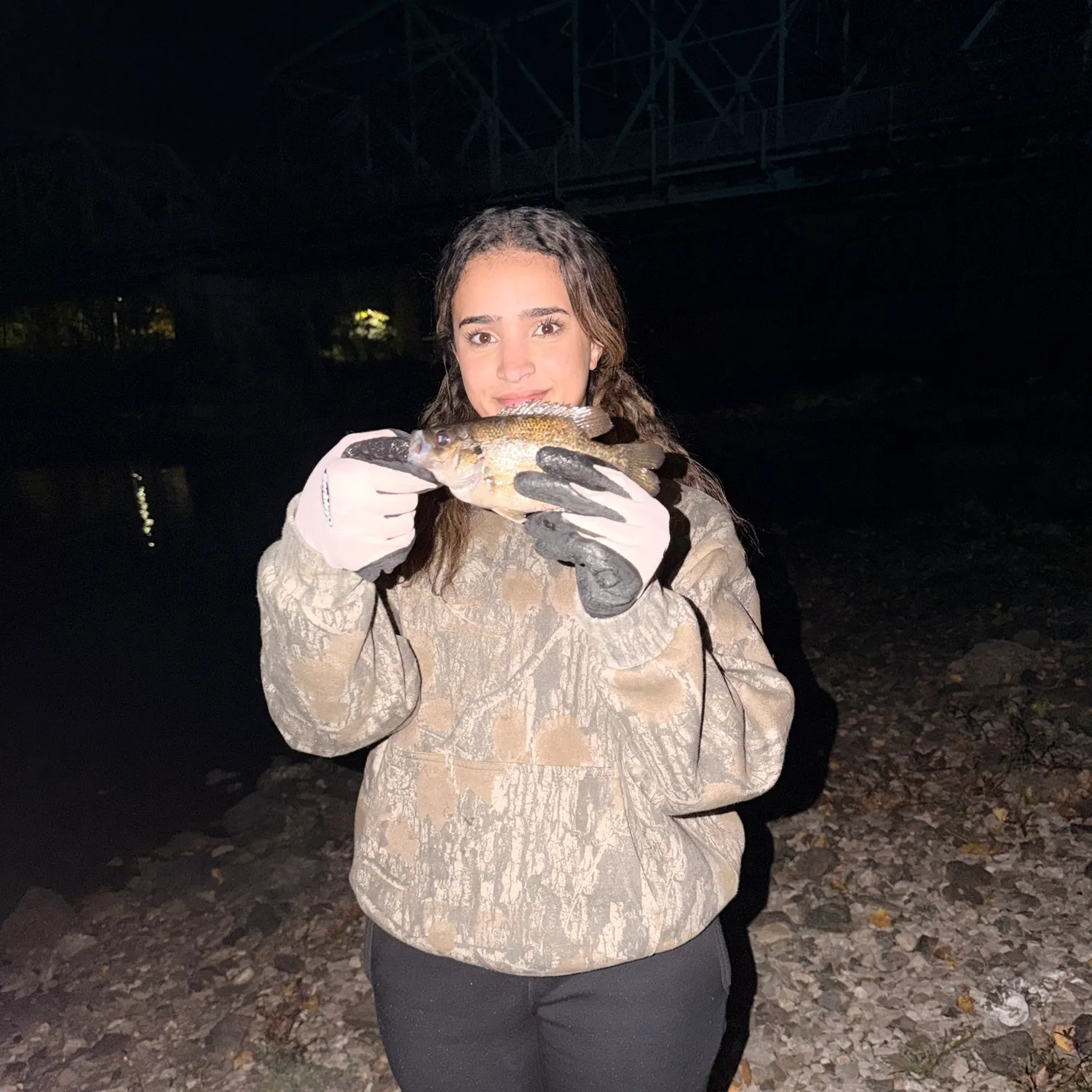 Rock bass caught on Fishbrain
