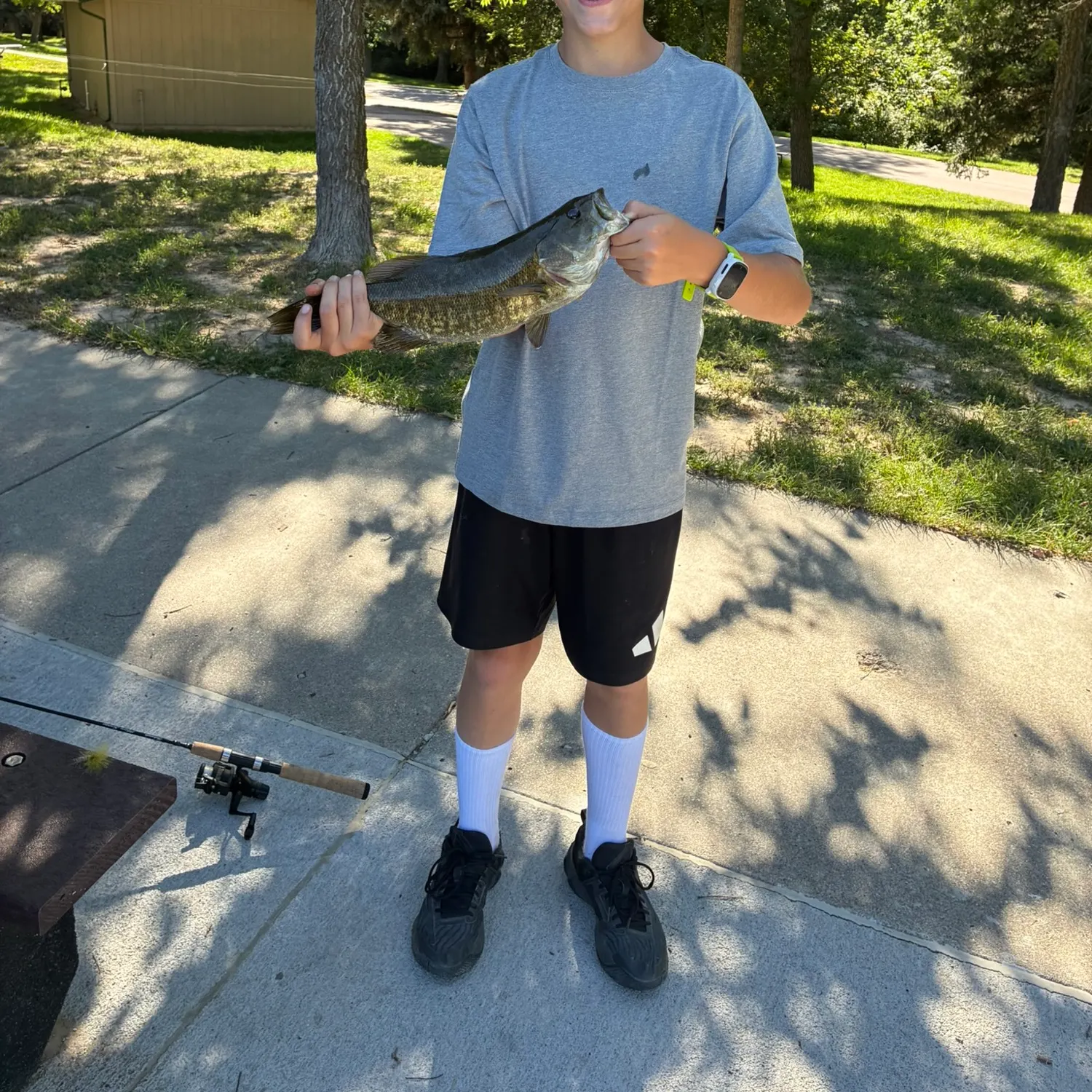 Smallmouth bass caught on Fishbrain