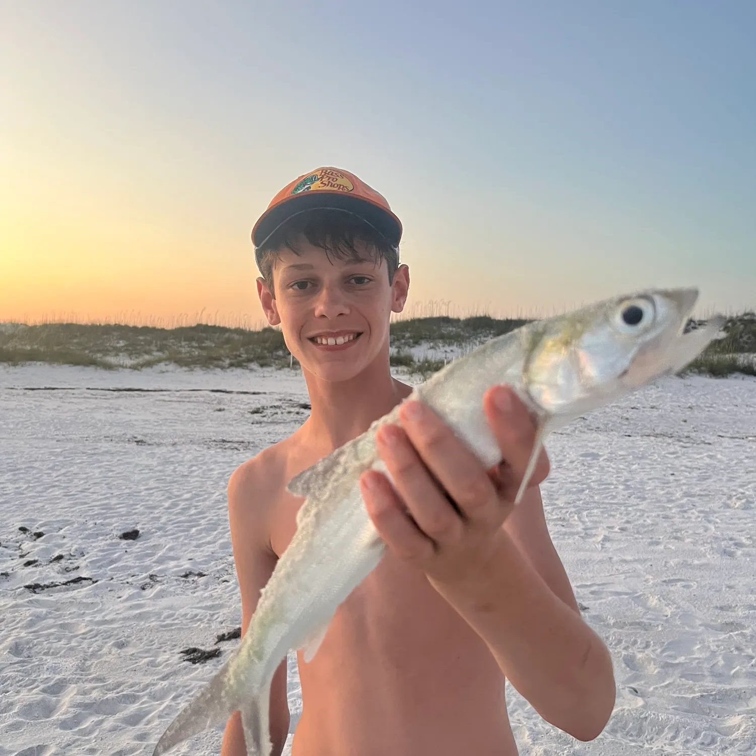 The most recent Ladyfish catches on Fishbrain
