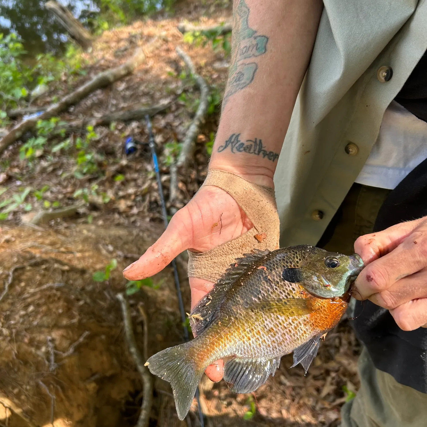 catch