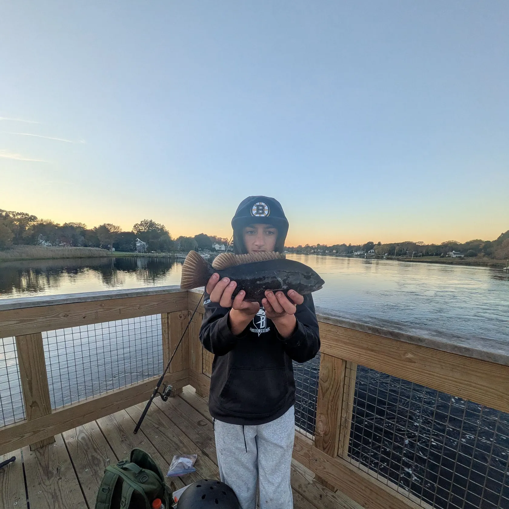 Tautog caught on Fishbrain