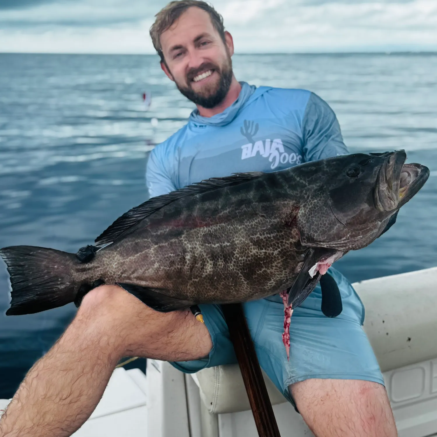The most recent Black grouper catches on Fishbrain