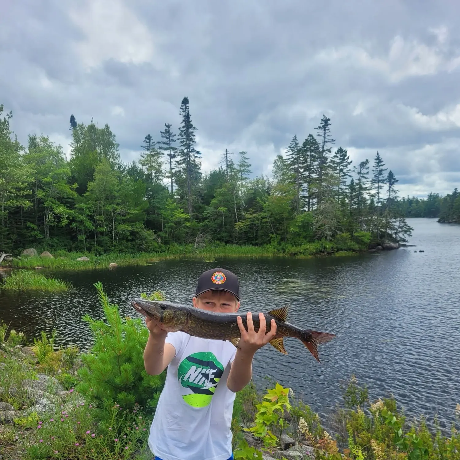 Northern pike caught on Fishbrain