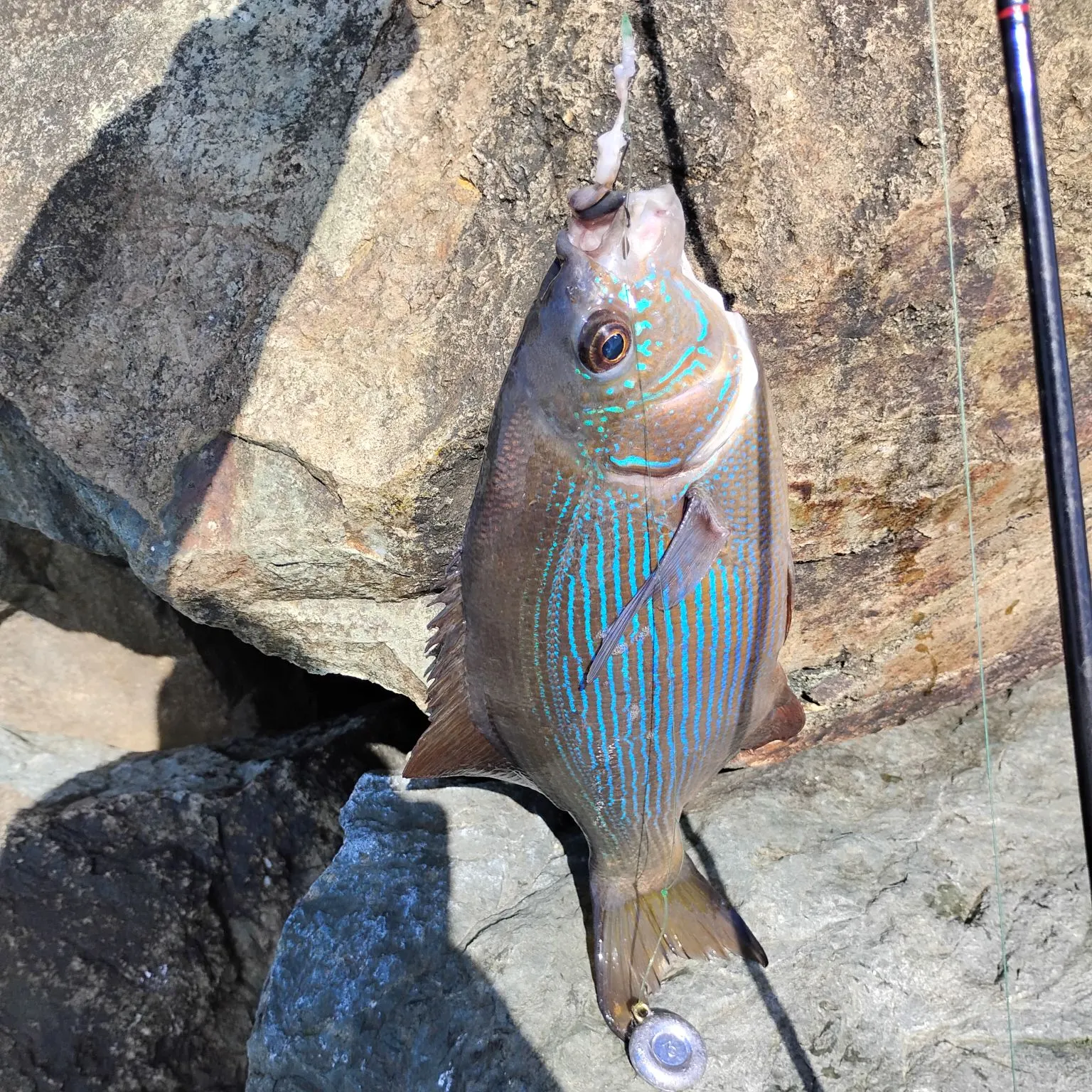most liked catch image